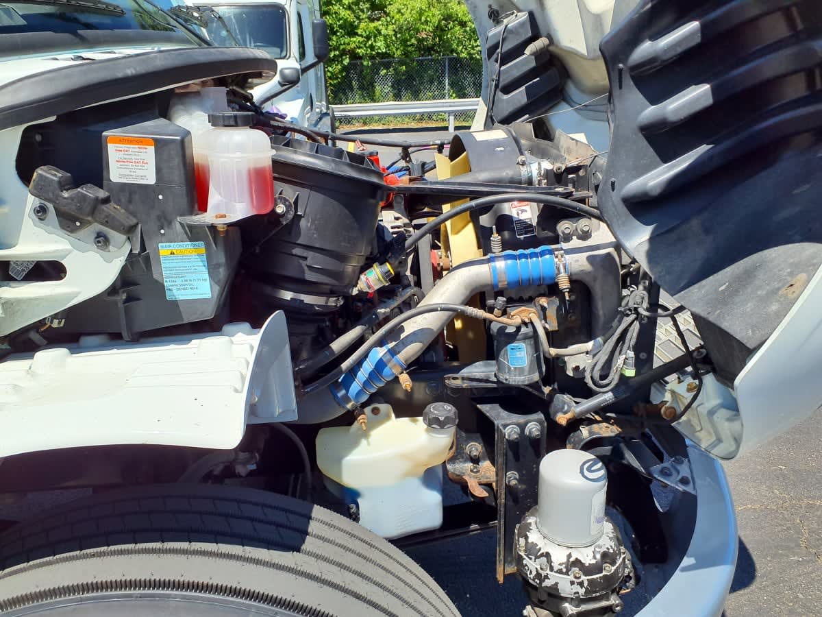 2019 Freightliner/Mercedes M2 106 819663