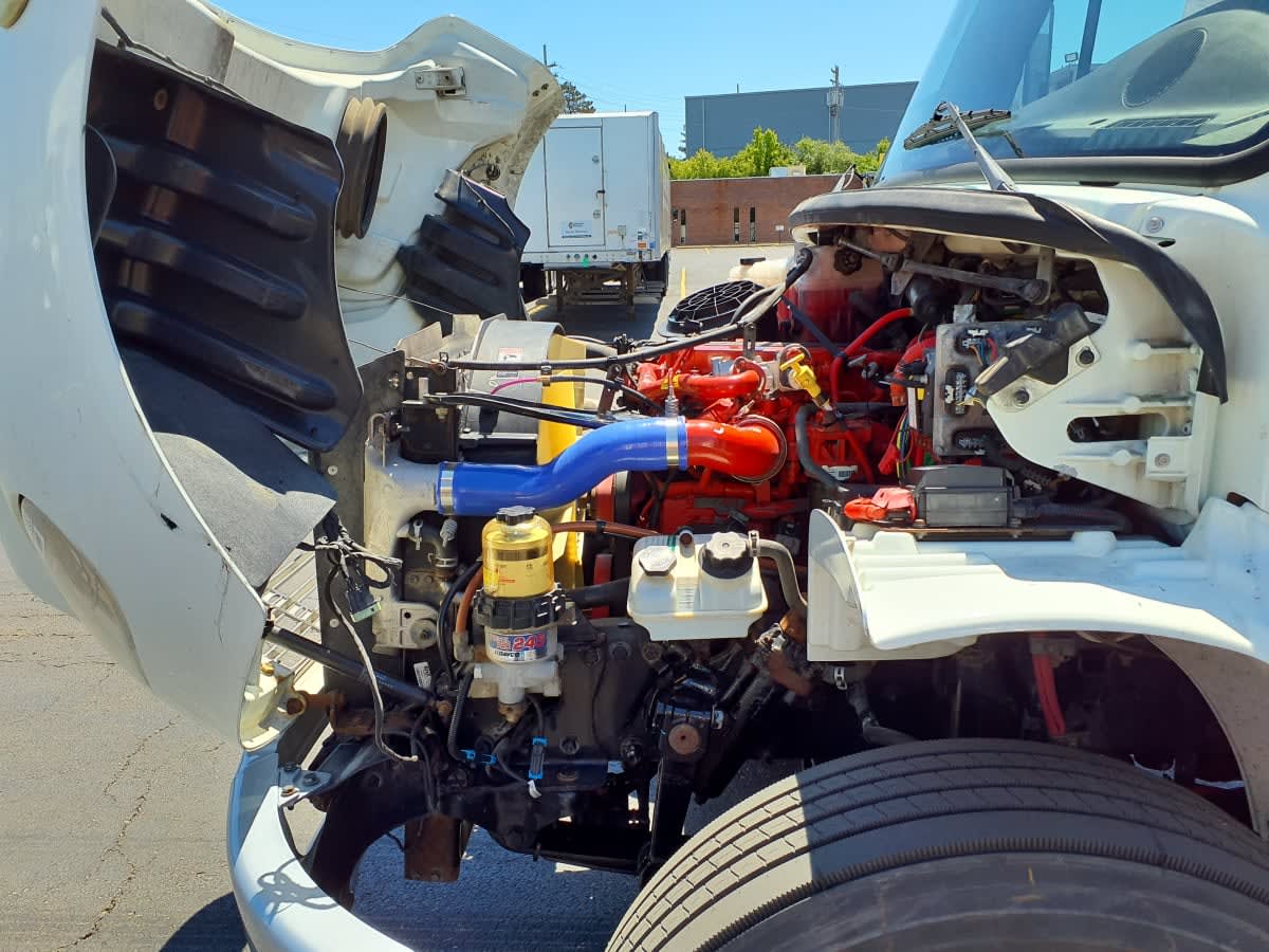 2019 Freightliner/Mercedes M2 106 819663