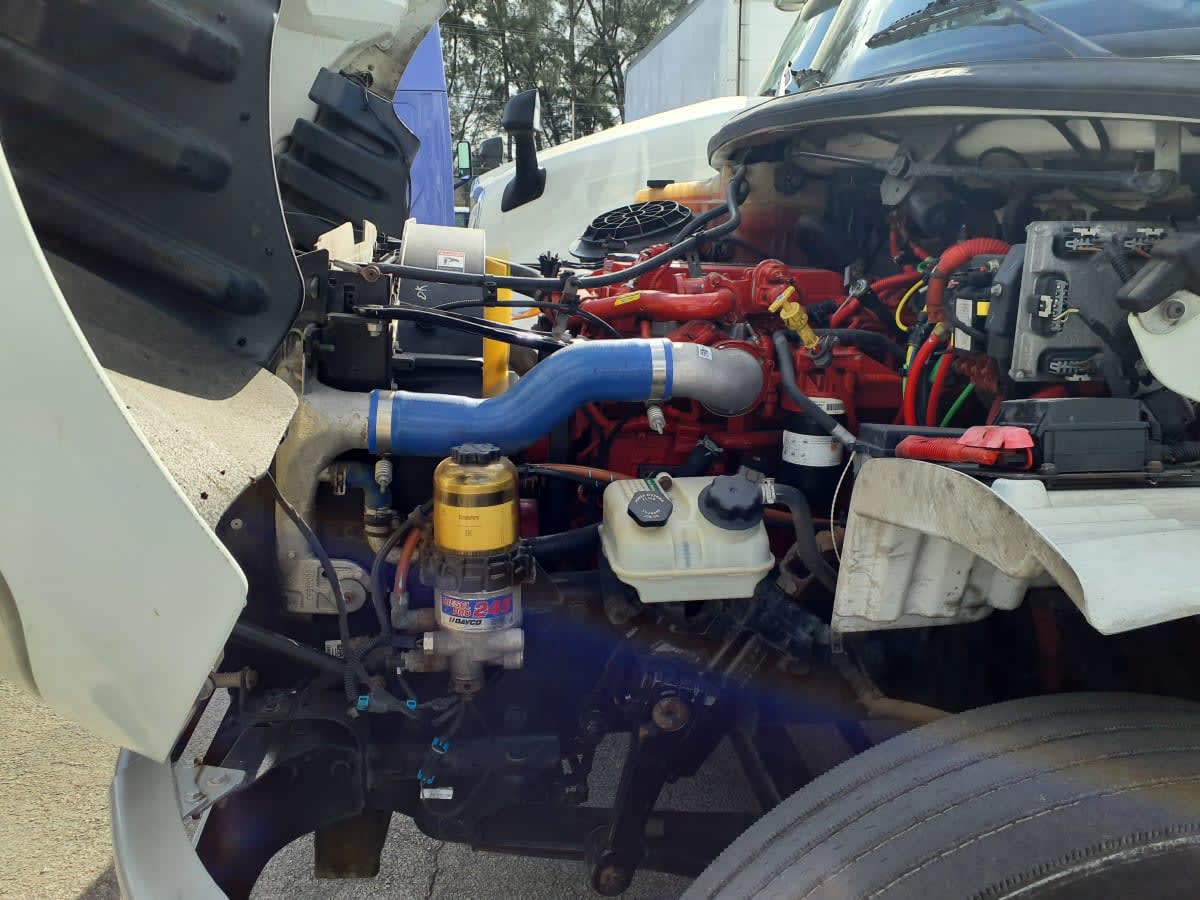 2019 Freightliner/Mercedes M2 106 819668