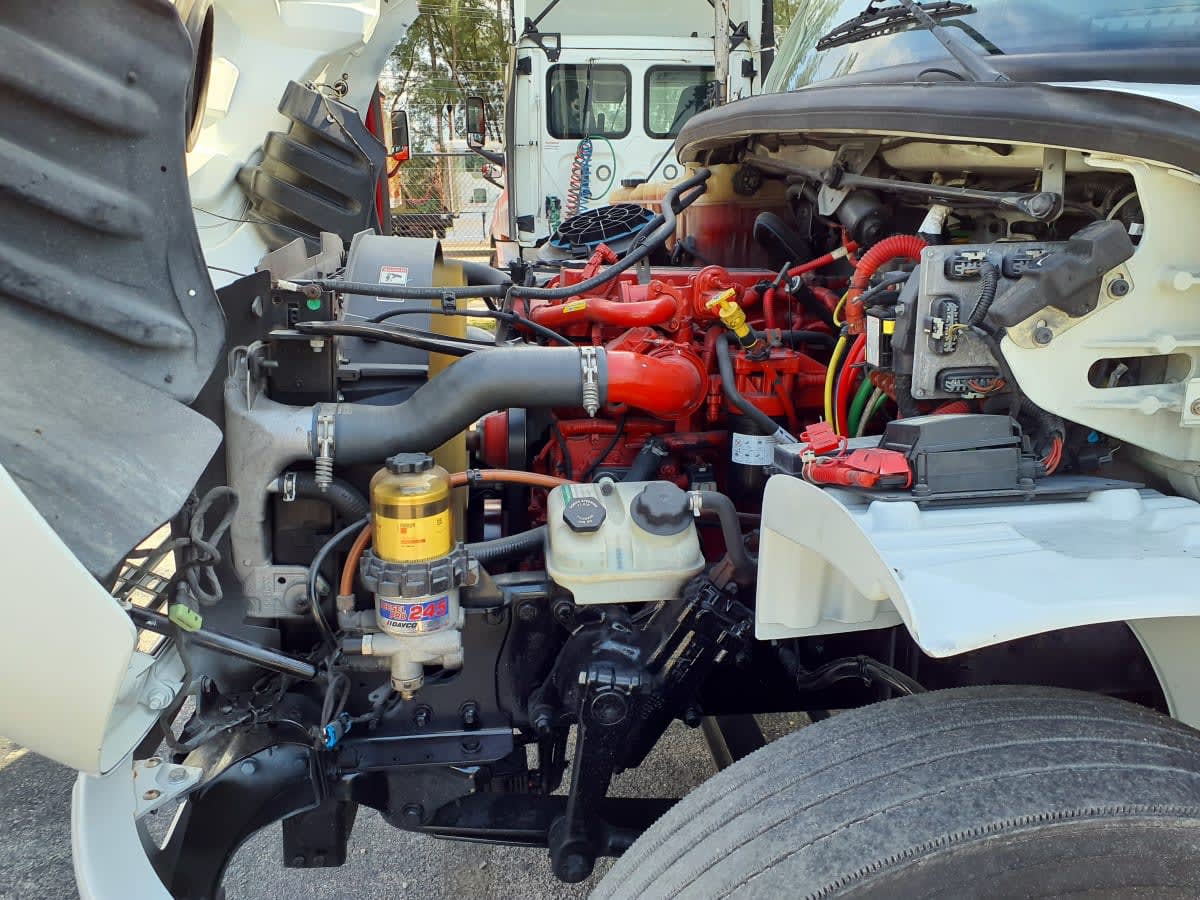 2019 Freightliner/Mercedes M2 106 819822