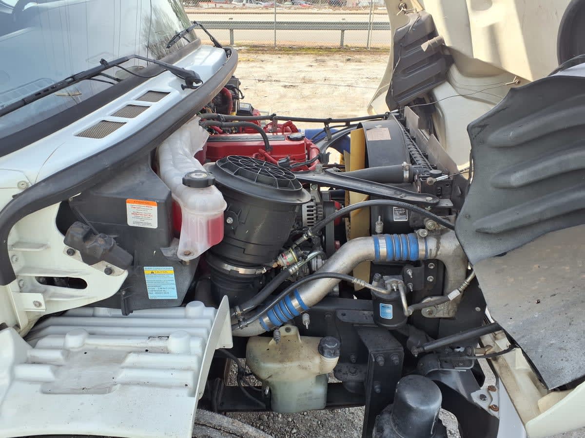 2019 Freightliner/Mercedes M2 106 819905