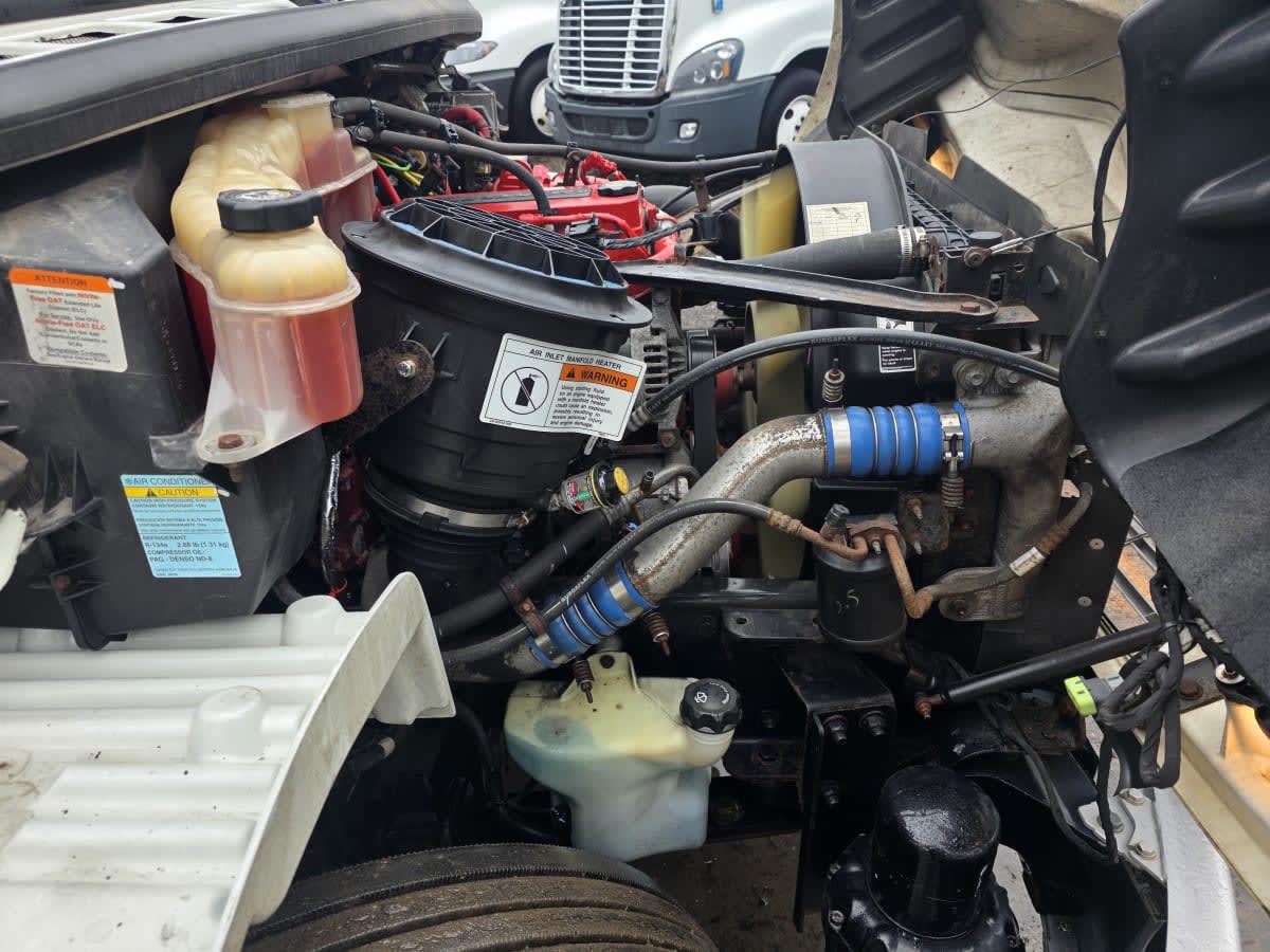 2019 Freightliner/Mercedes M2 106 820229