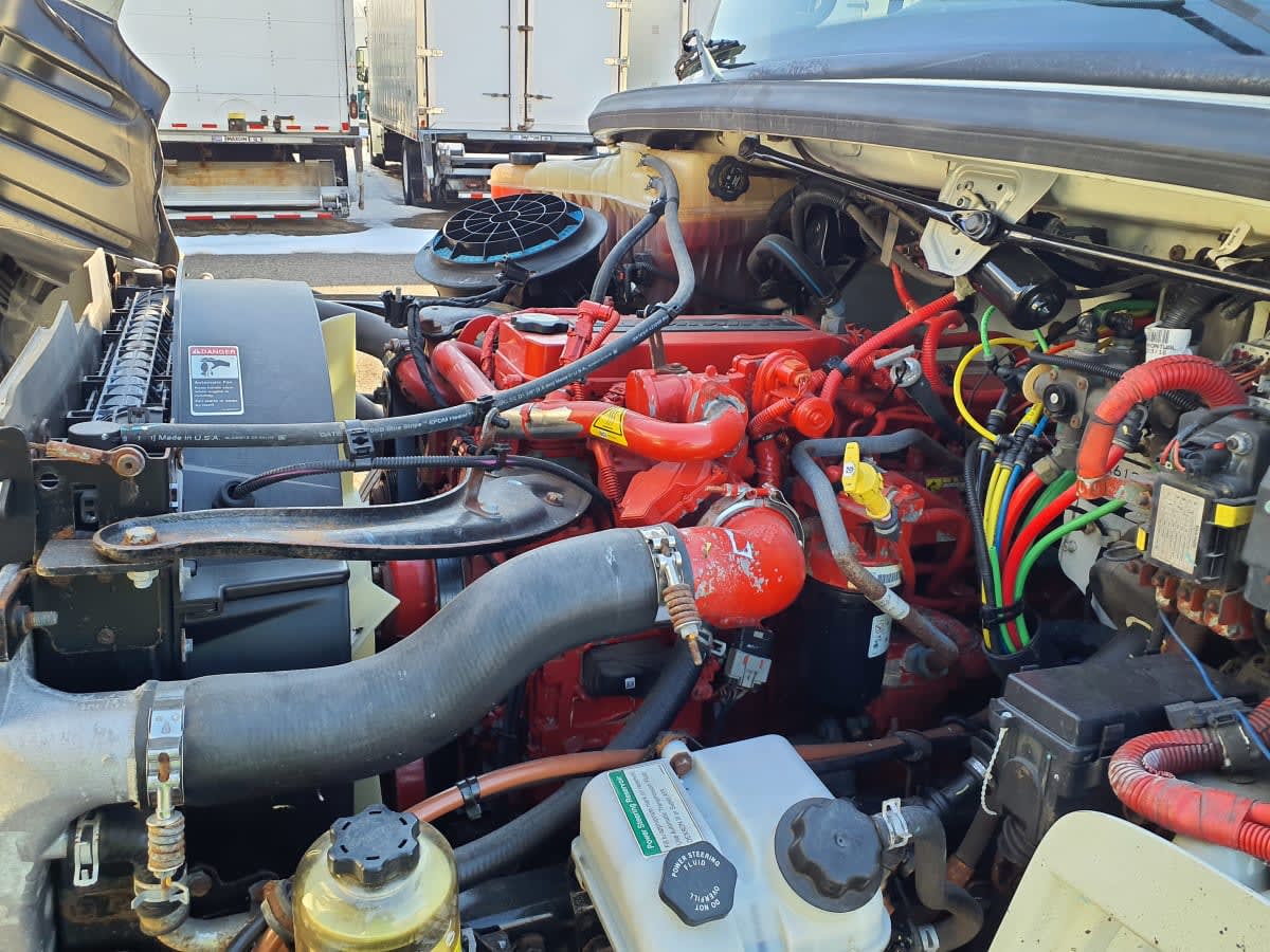 2019 Freightliner/Mercedes M2 106 821039