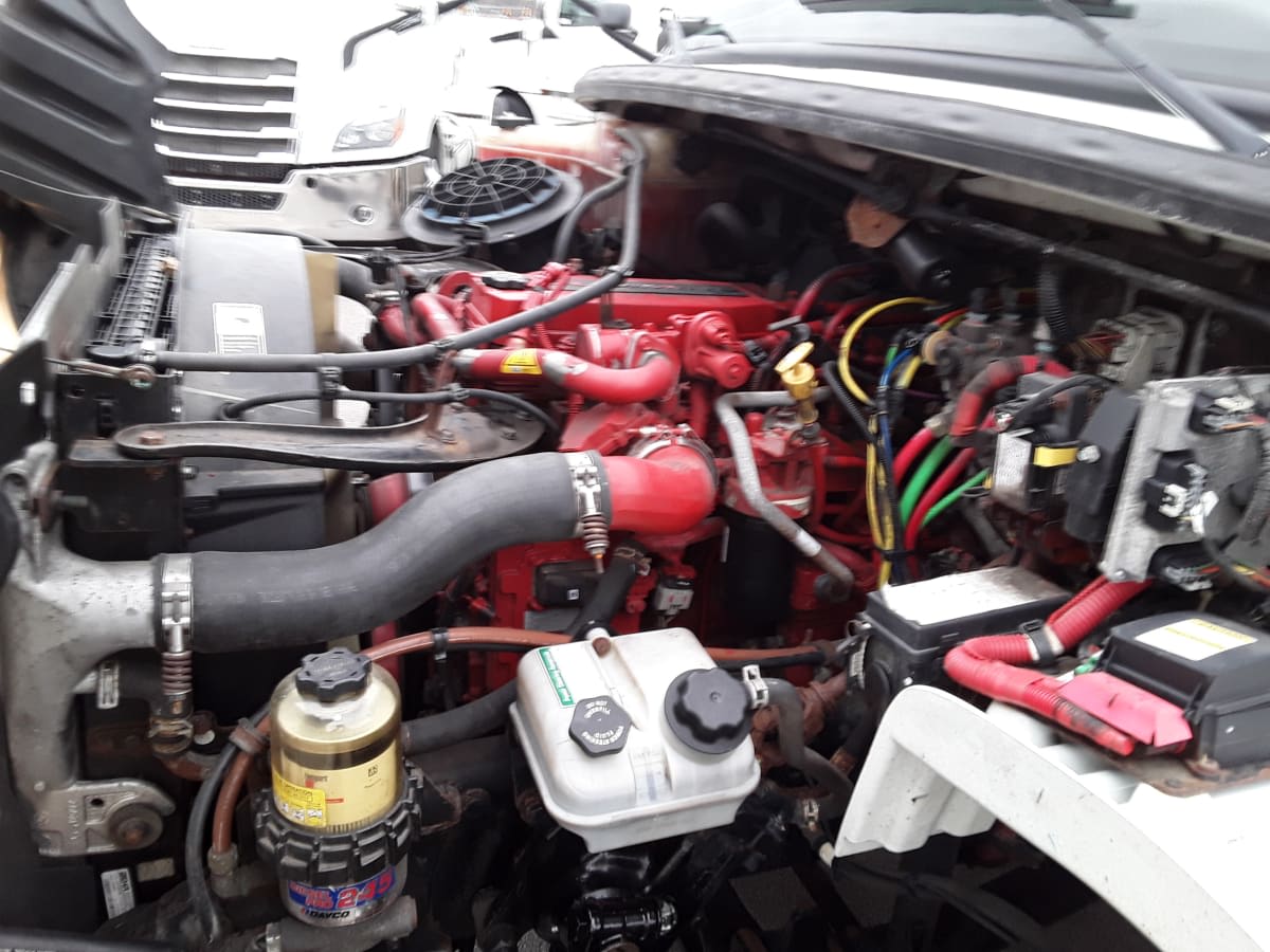 2019 Freightliner/Mercedes M2 106 821124