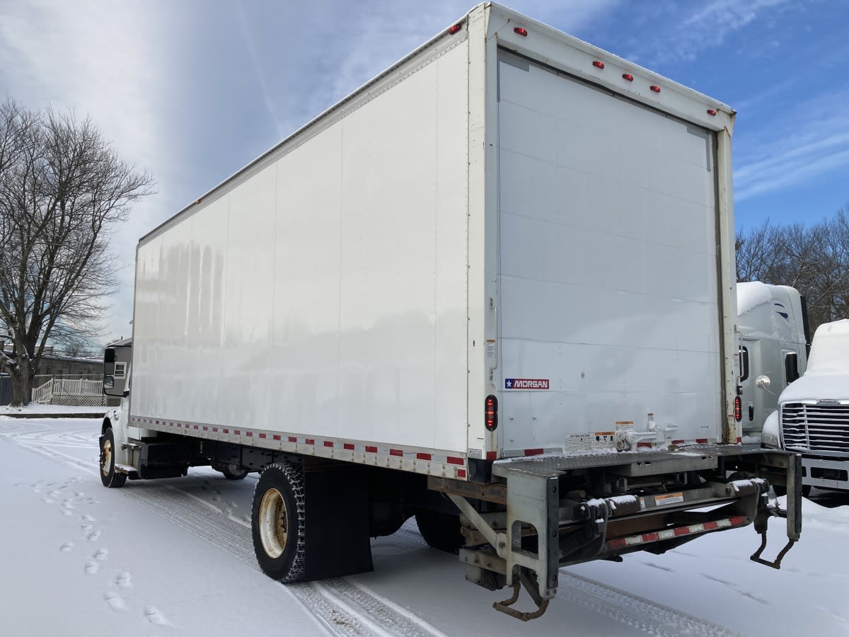 2019 Freightliner/Mercedes M2 106 821213