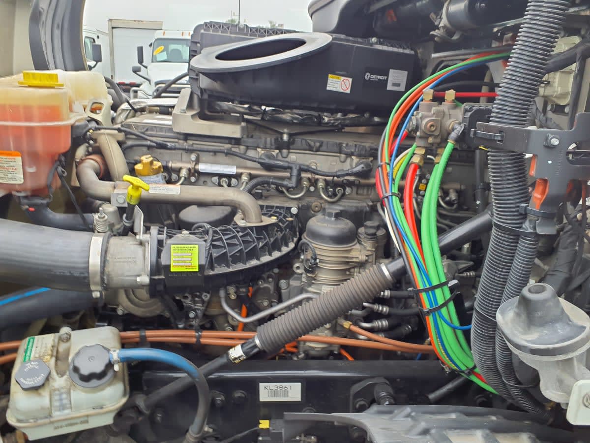 2019 Freightliner - image 8