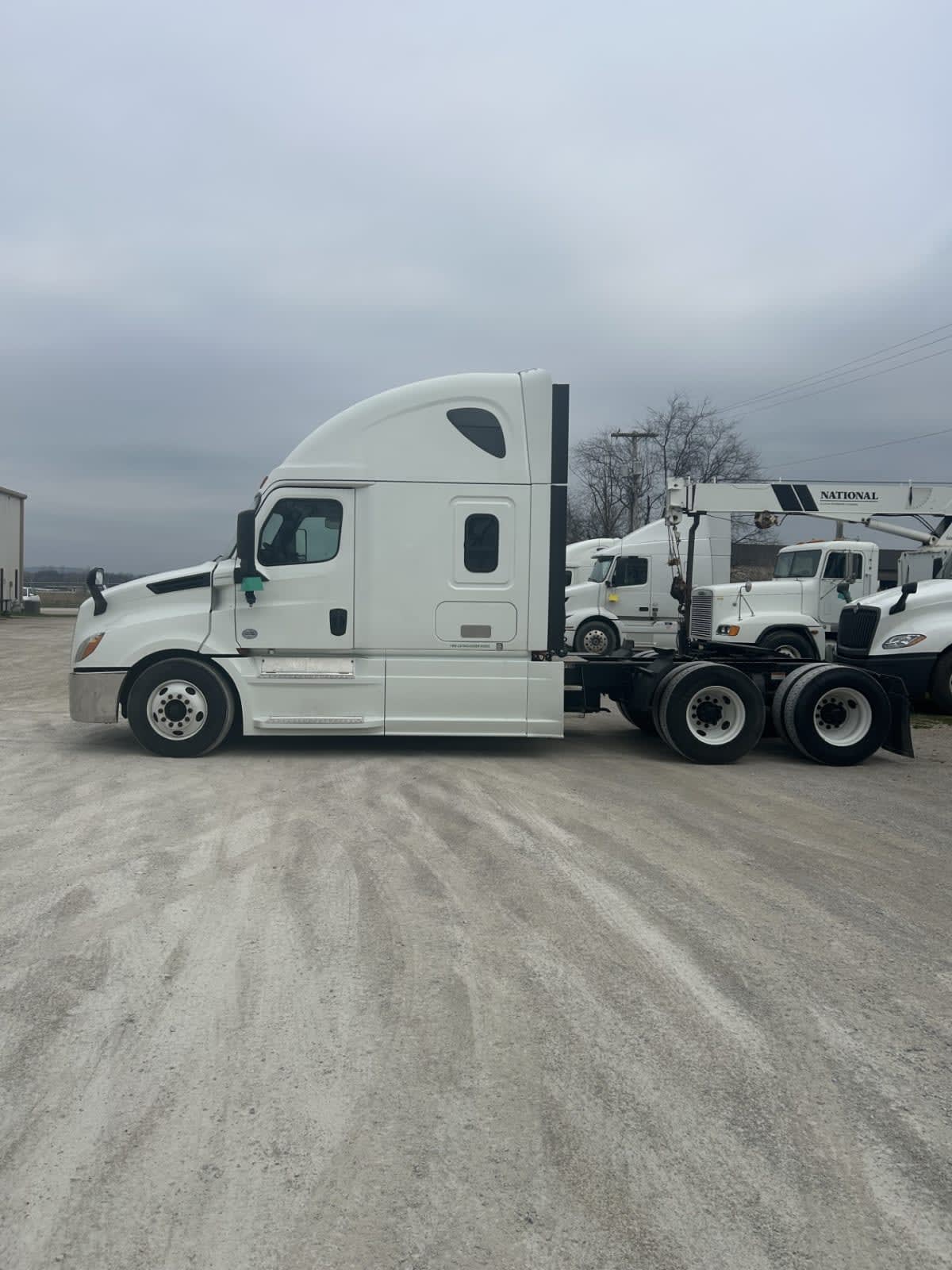 2019 Freightliner/Mercedes NEW CASCADIA PX12664 821355