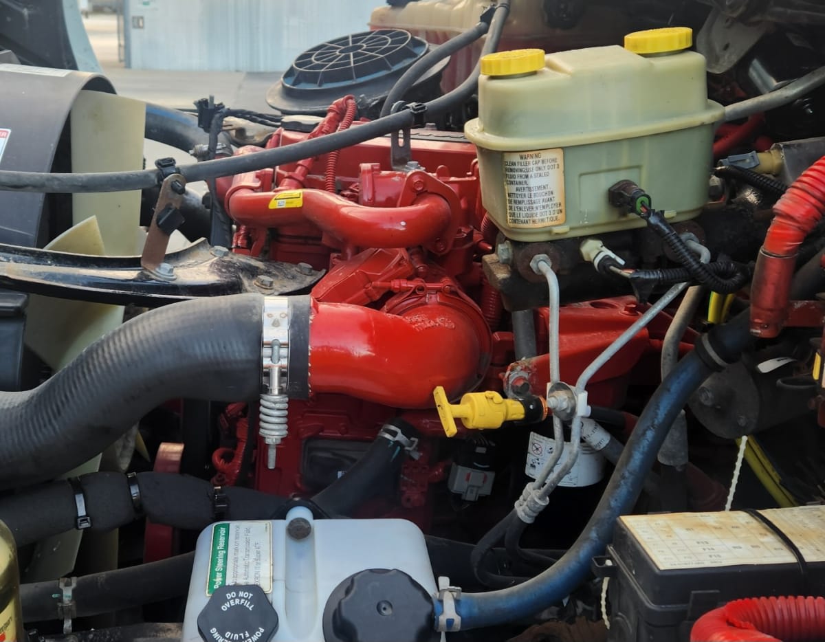 2019 Freightliner/Mercedes M2 106 821915