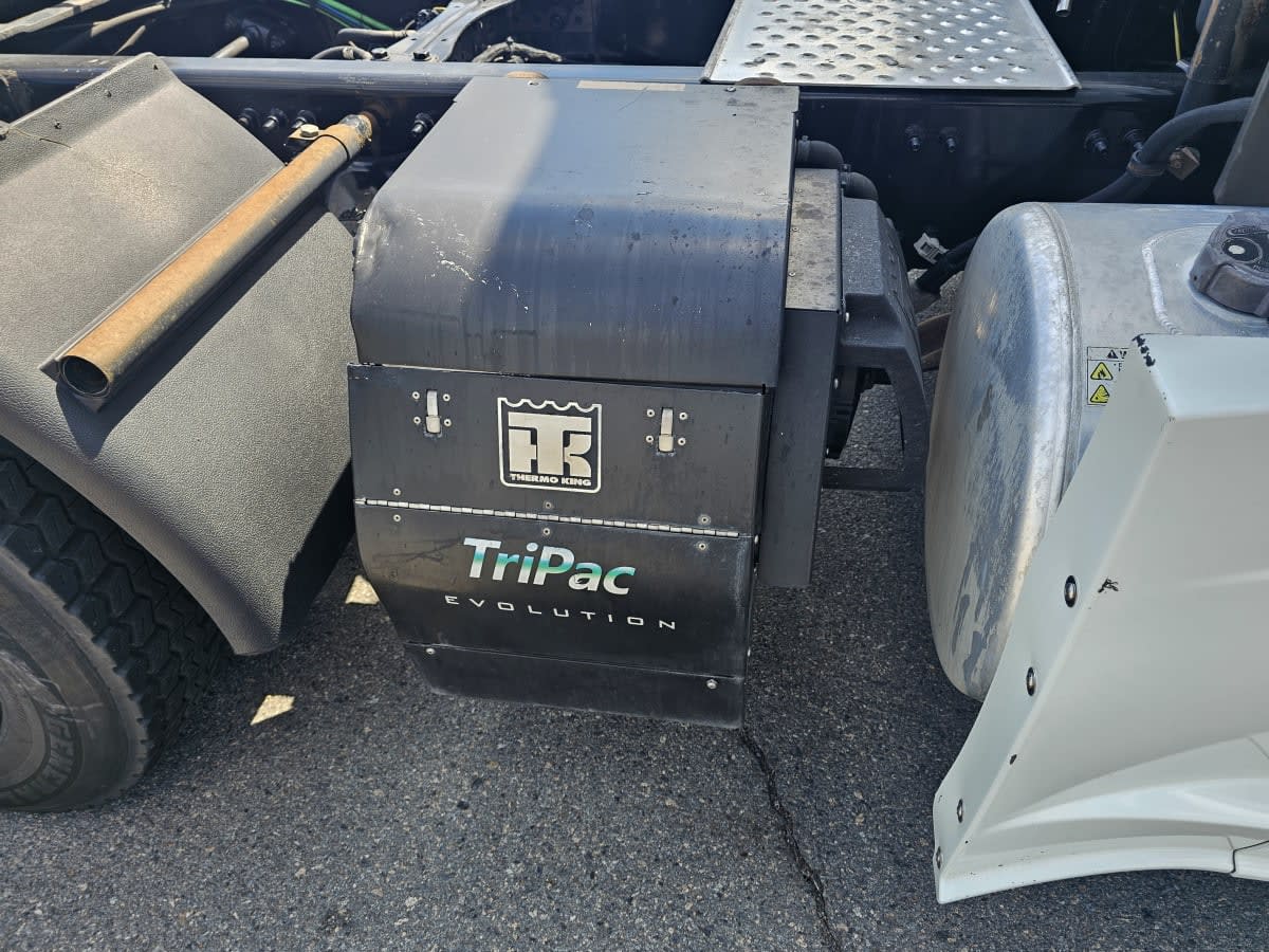 2019 Freightliner NEW CASCADIA PX12664 822670