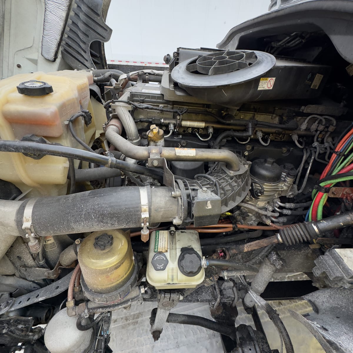 2019 Freightliner - image 8