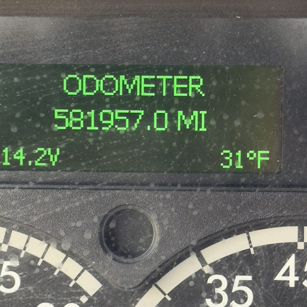 2019 Freightliner - image 6