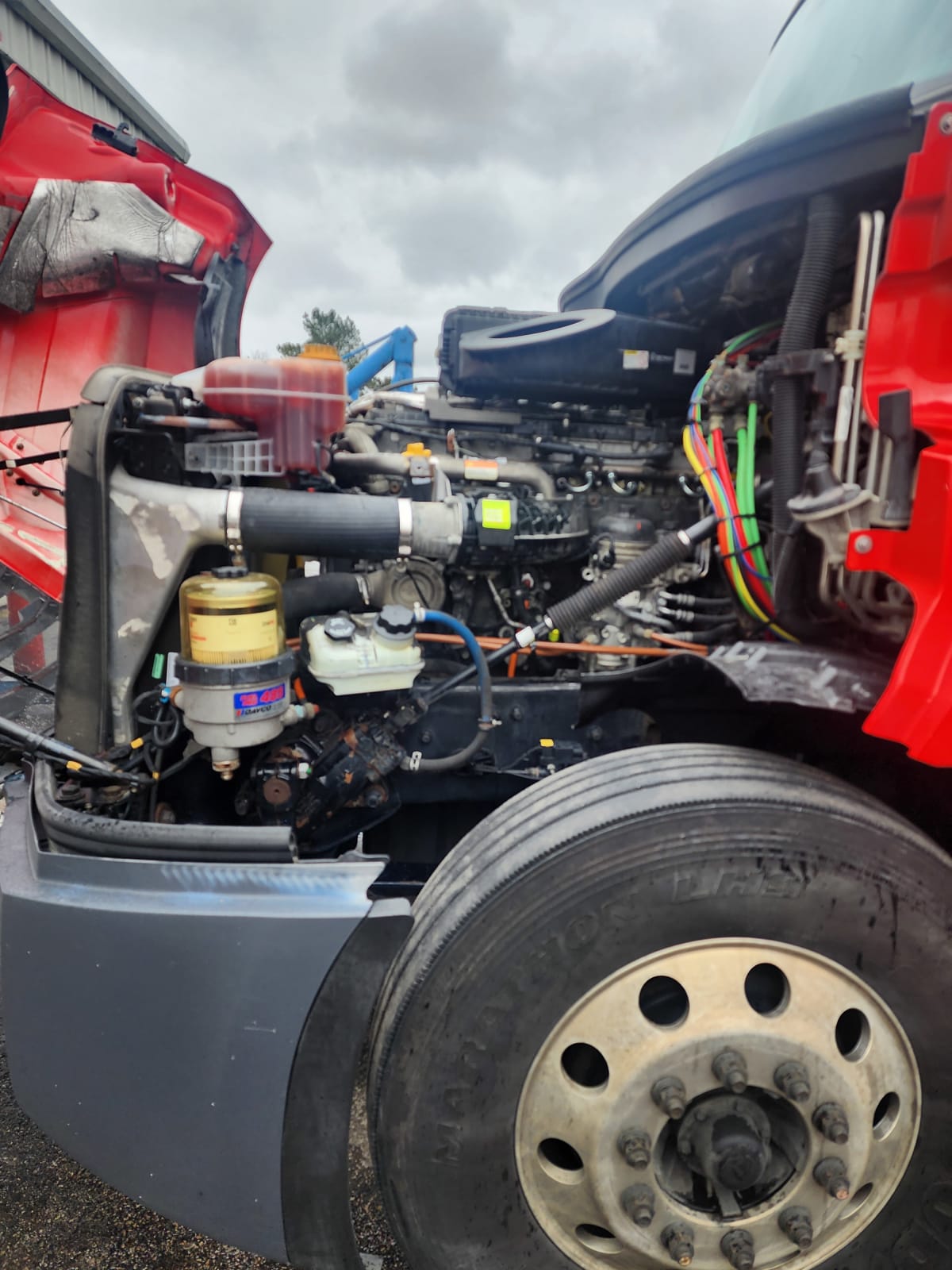 2019 Freightliner/Mercedes NEW CASCADIA PX12664 823409