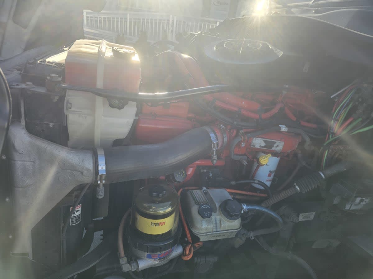 2019 Freightliner/Mercedes CASCADIA 125 823643