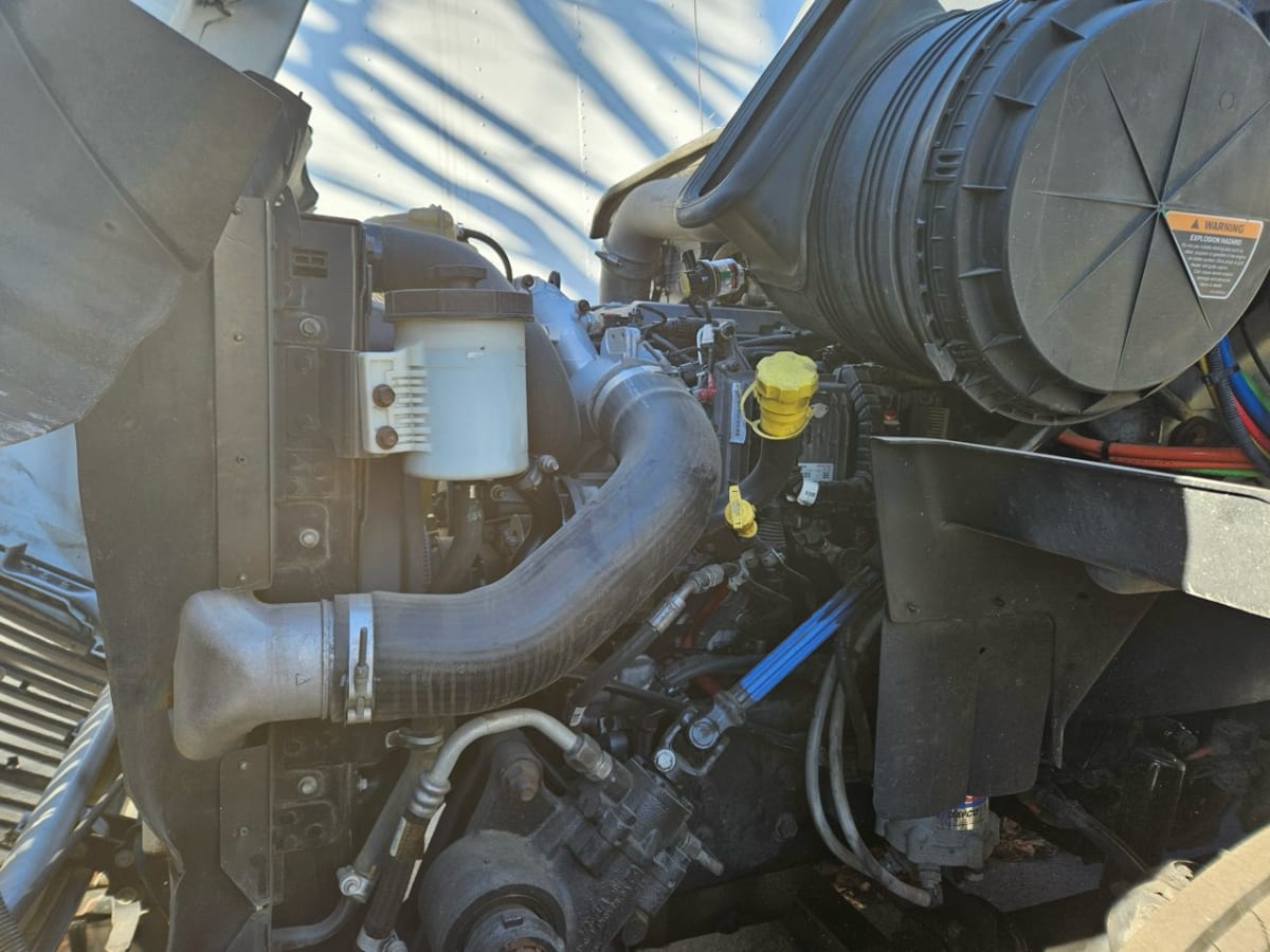 2019 International - image 8