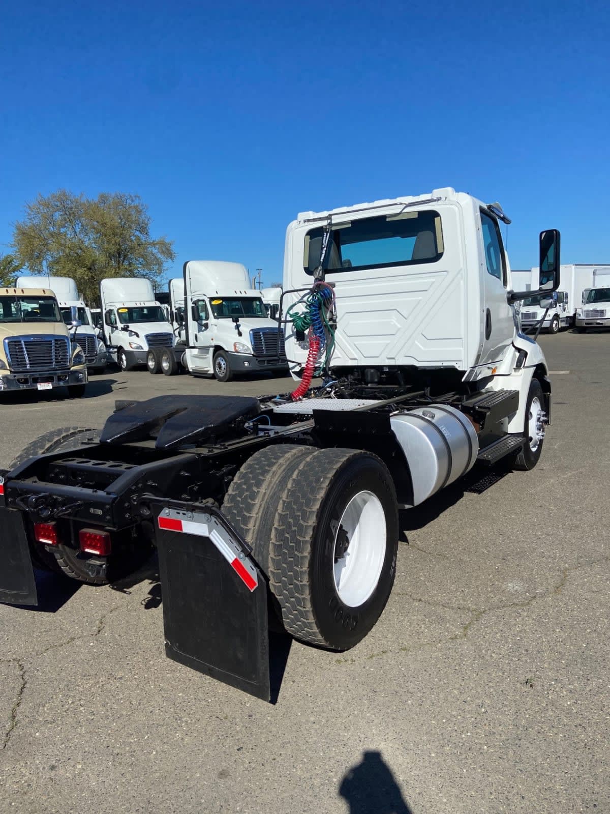 2019 International - image 4