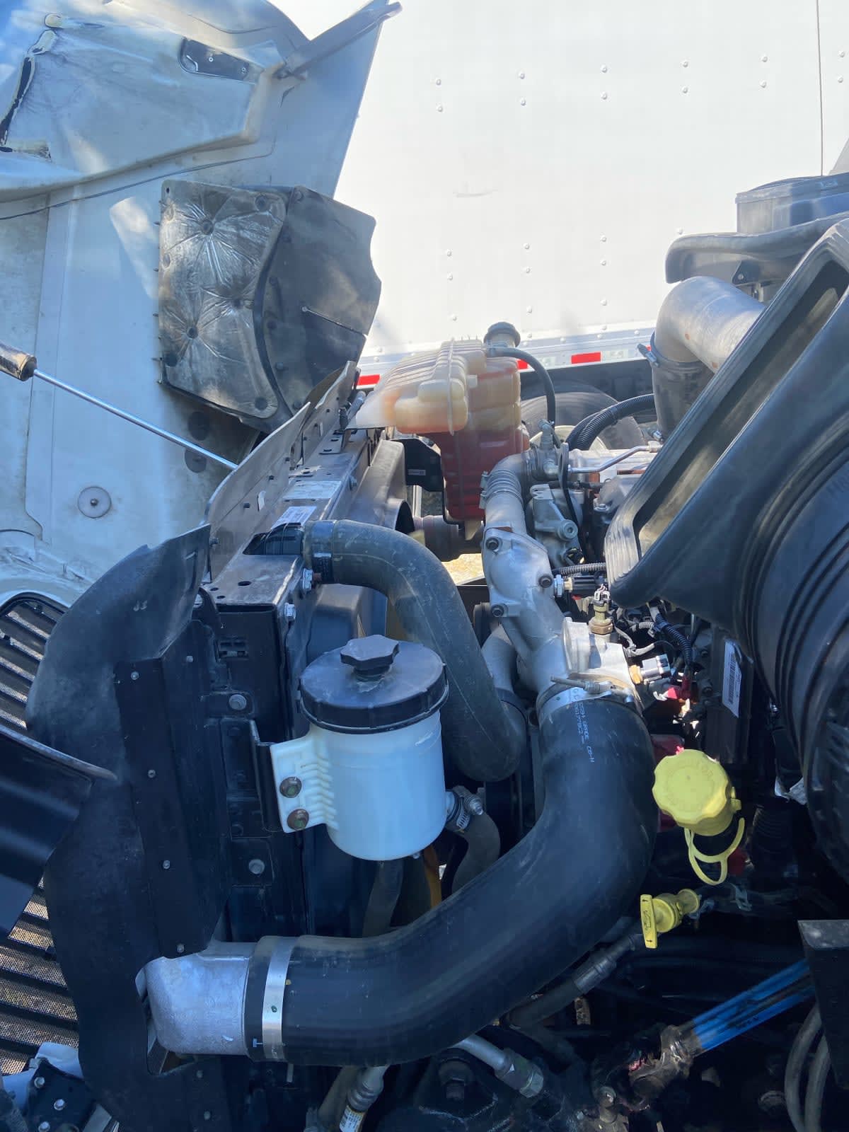 2019 International - image 8