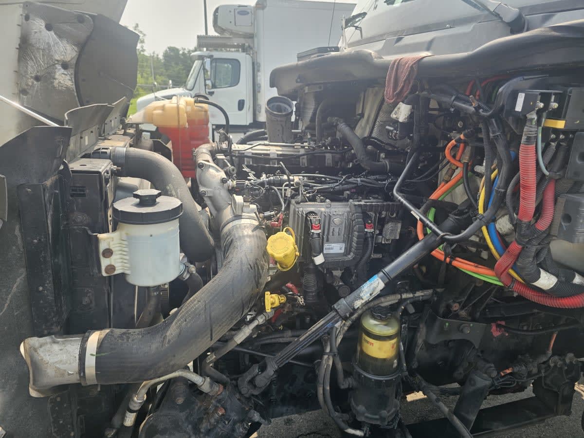 2019 International - image 8