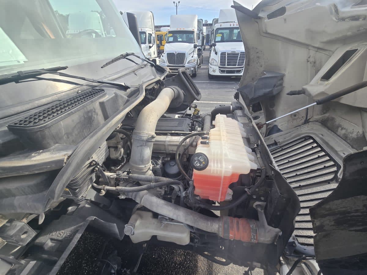 2019 International - image 8