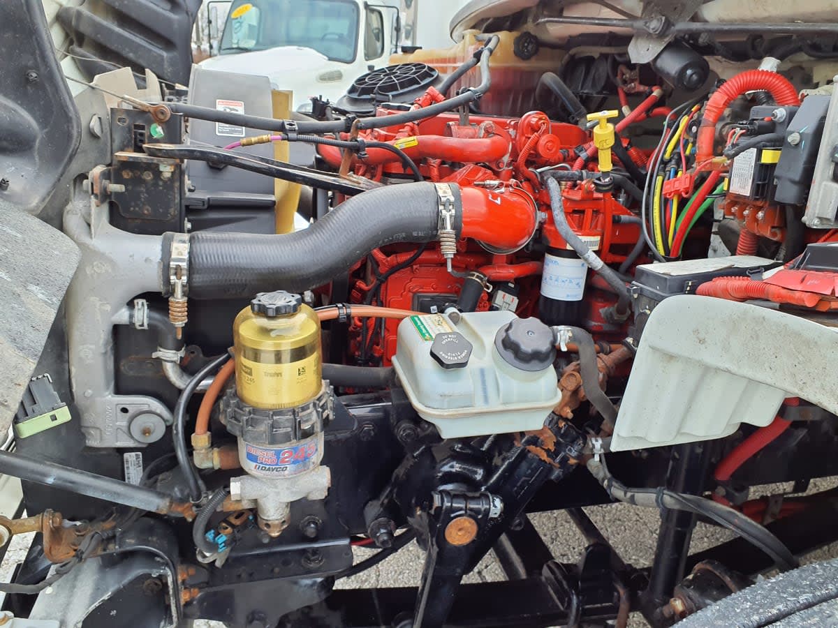 2019 Freightliner/Mercedes M2 106 824390