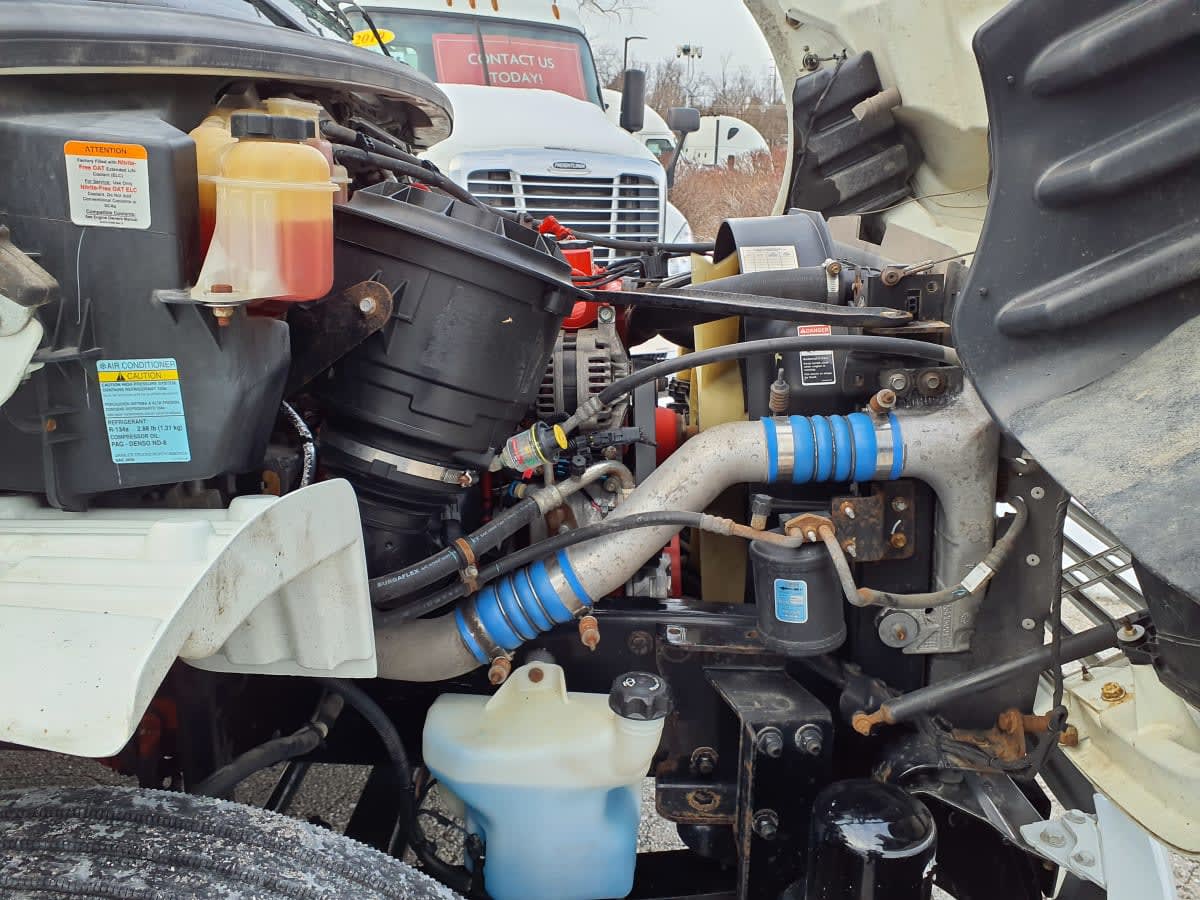 2019 Freightliner/Mercedes M2 106 824390