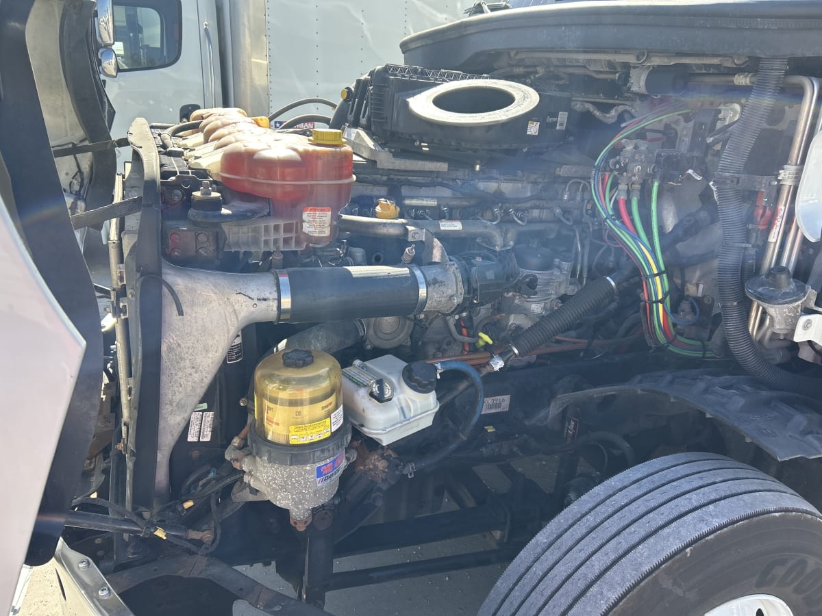 2019 Freightliner/Mercedes NEW CASCADIA PX12664 824620