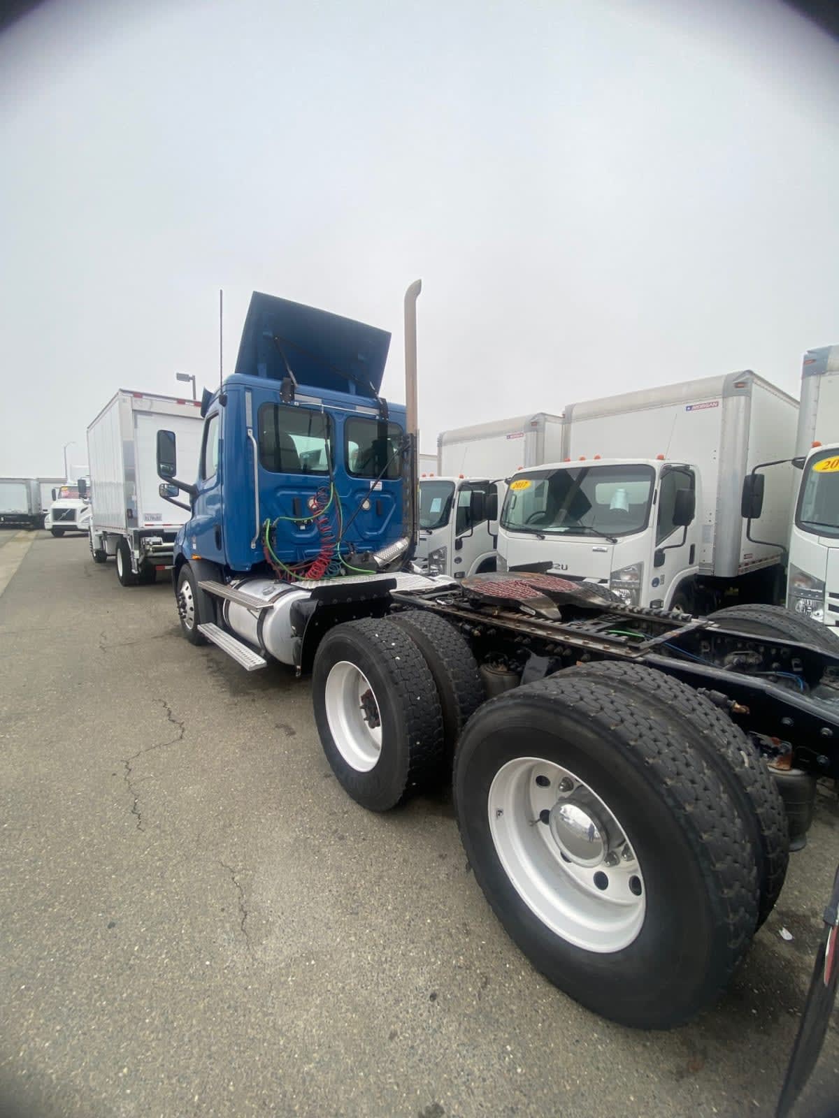 2019 Freightliner - image 6