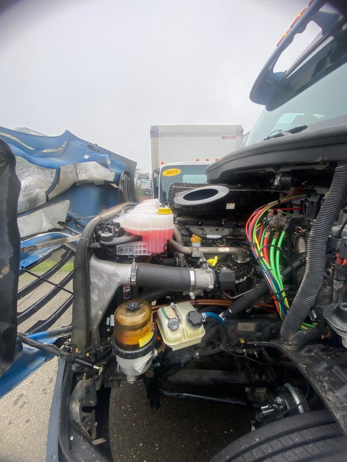 2019 Freightliner - image 8