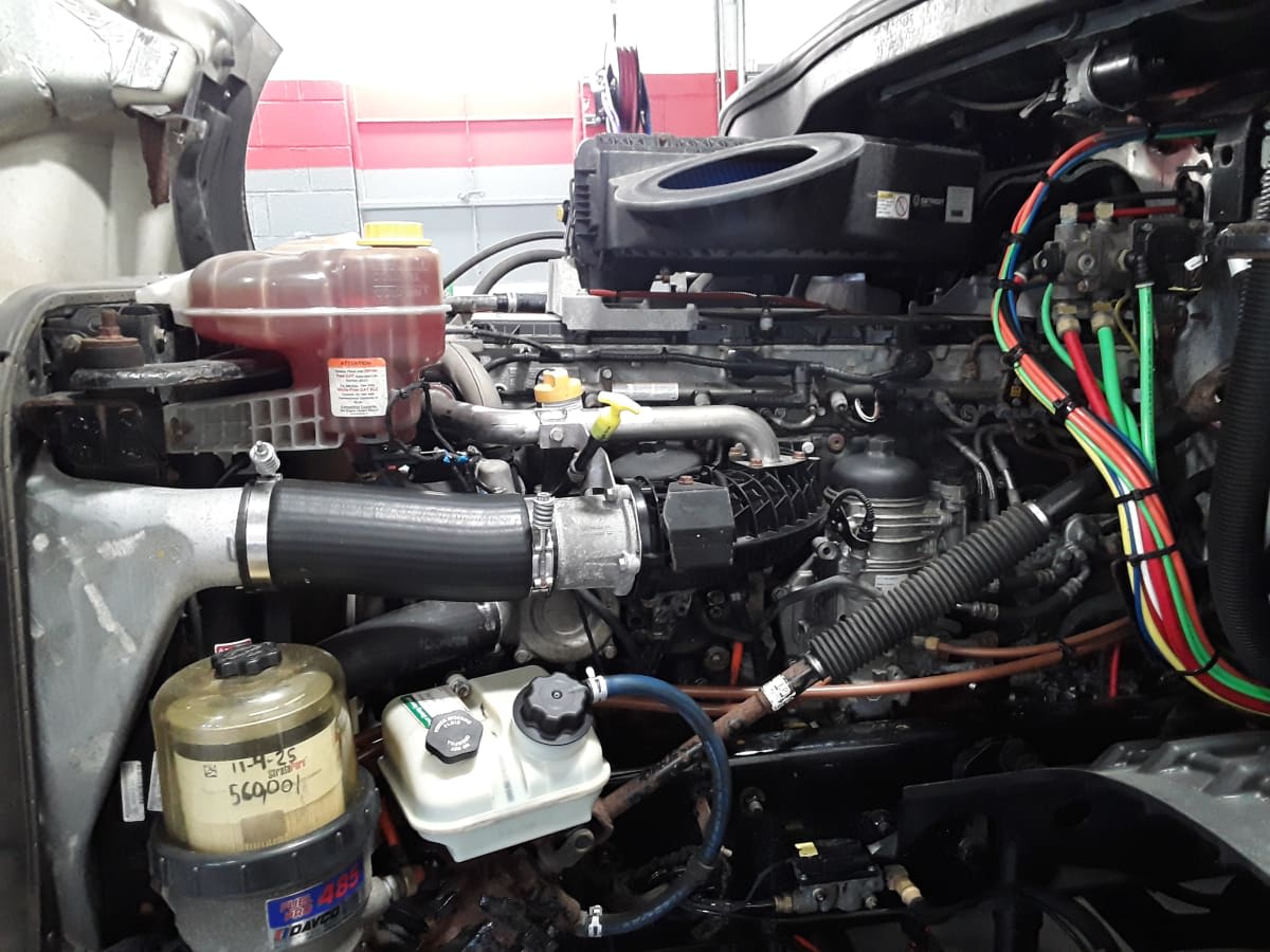 2019 Freightliner/Mercedes NEW CASCADIA PX12664 824784