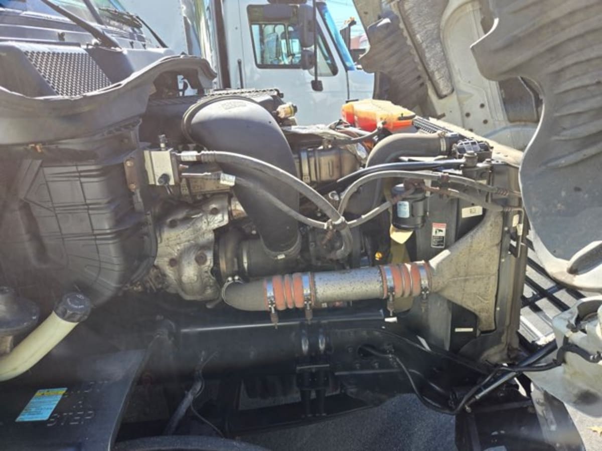 2019 Freightliner - image 12