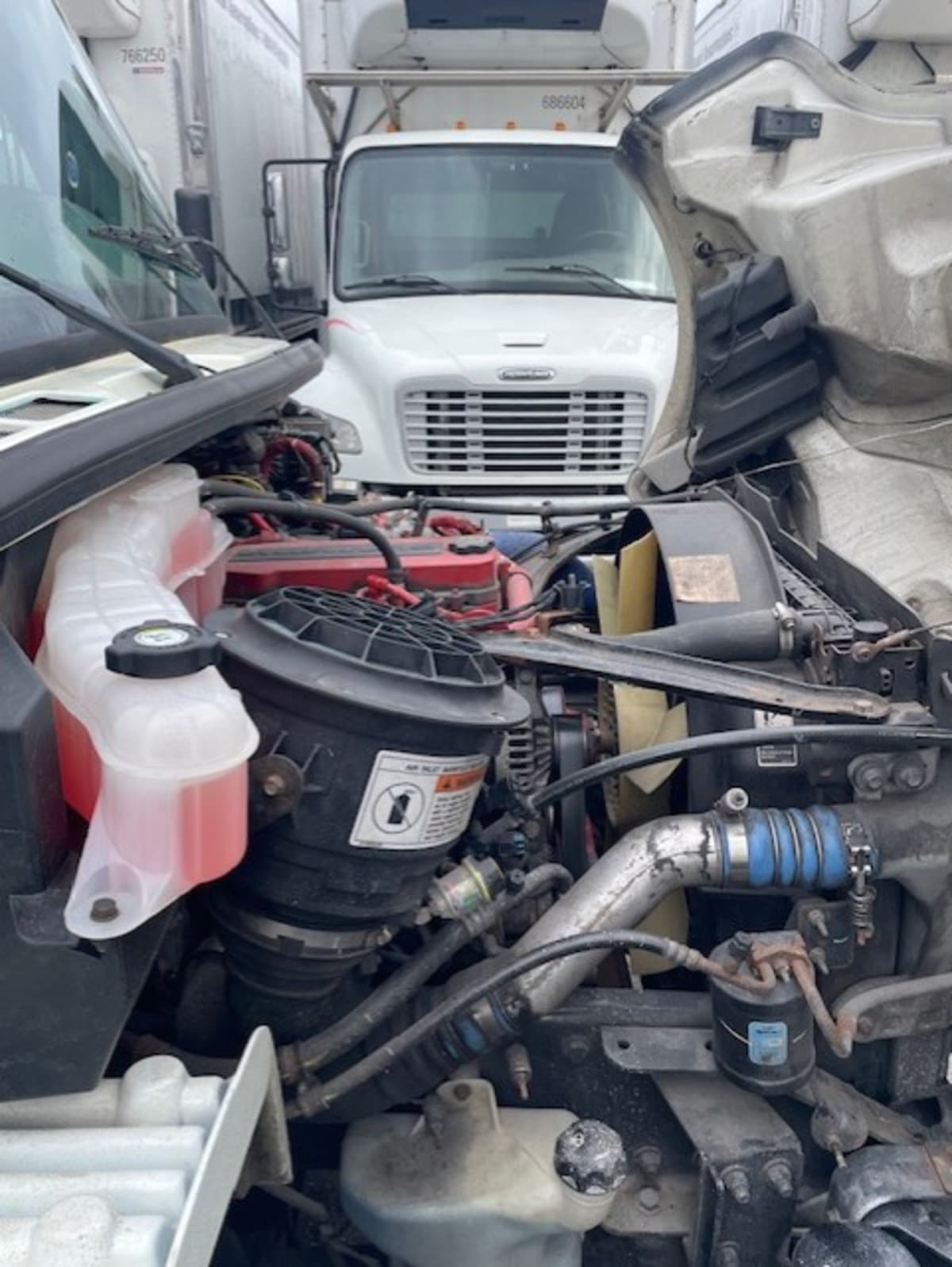 2019 Freightliner/Mercedes M2 106 825627