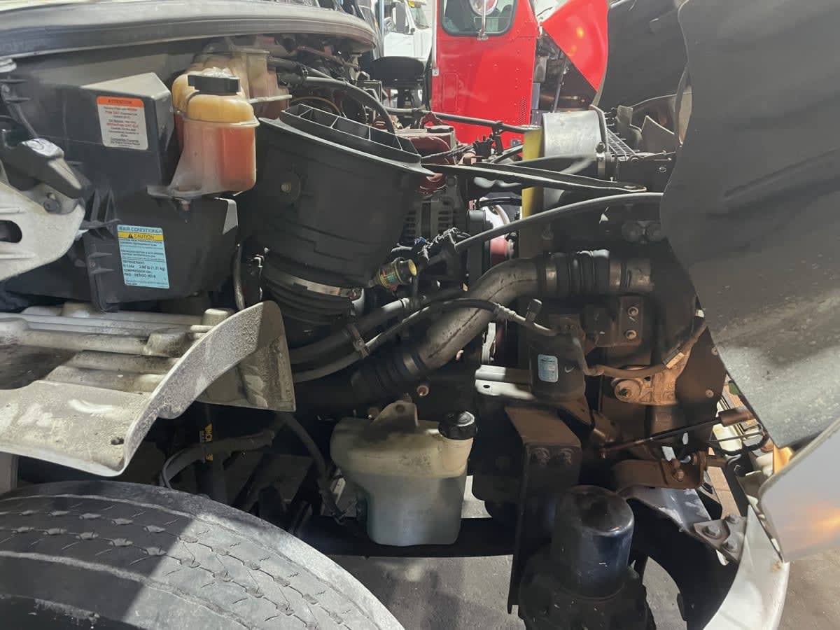 2019 Freightliner/Mercedes M2 106 825629