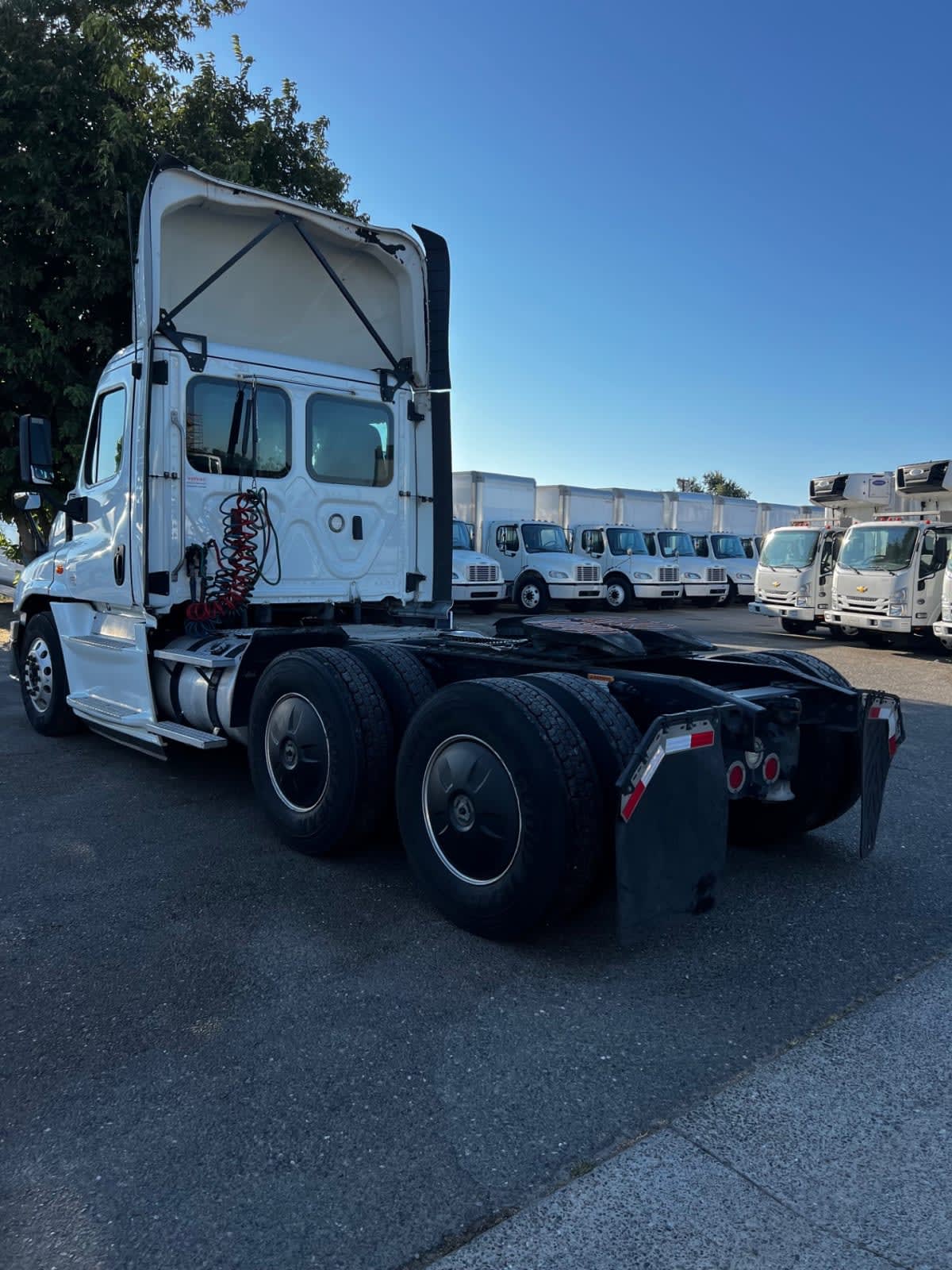 2019 Freightliner - image 6