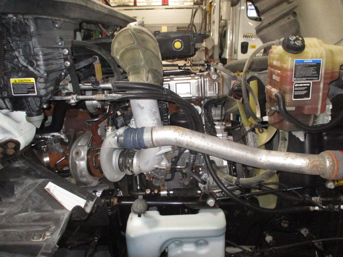 2019 International - image 10