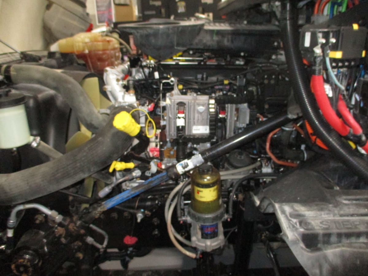 2019 International - image 8