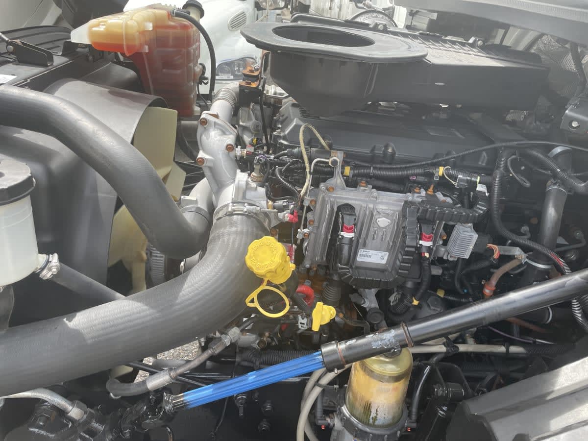 2019 International - image 10