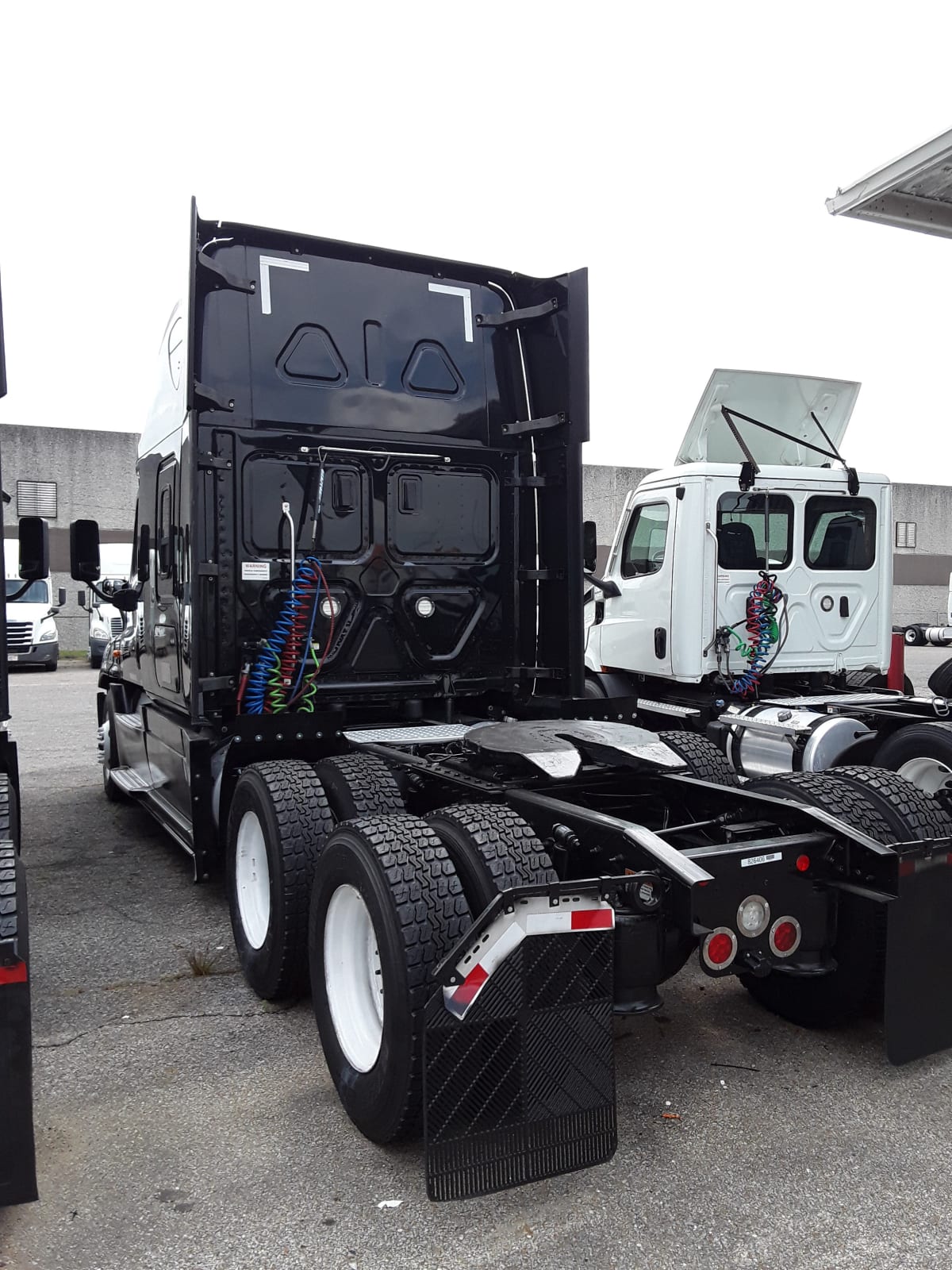 2019 Freightliner/Mercedes CASCADIA 125 826406