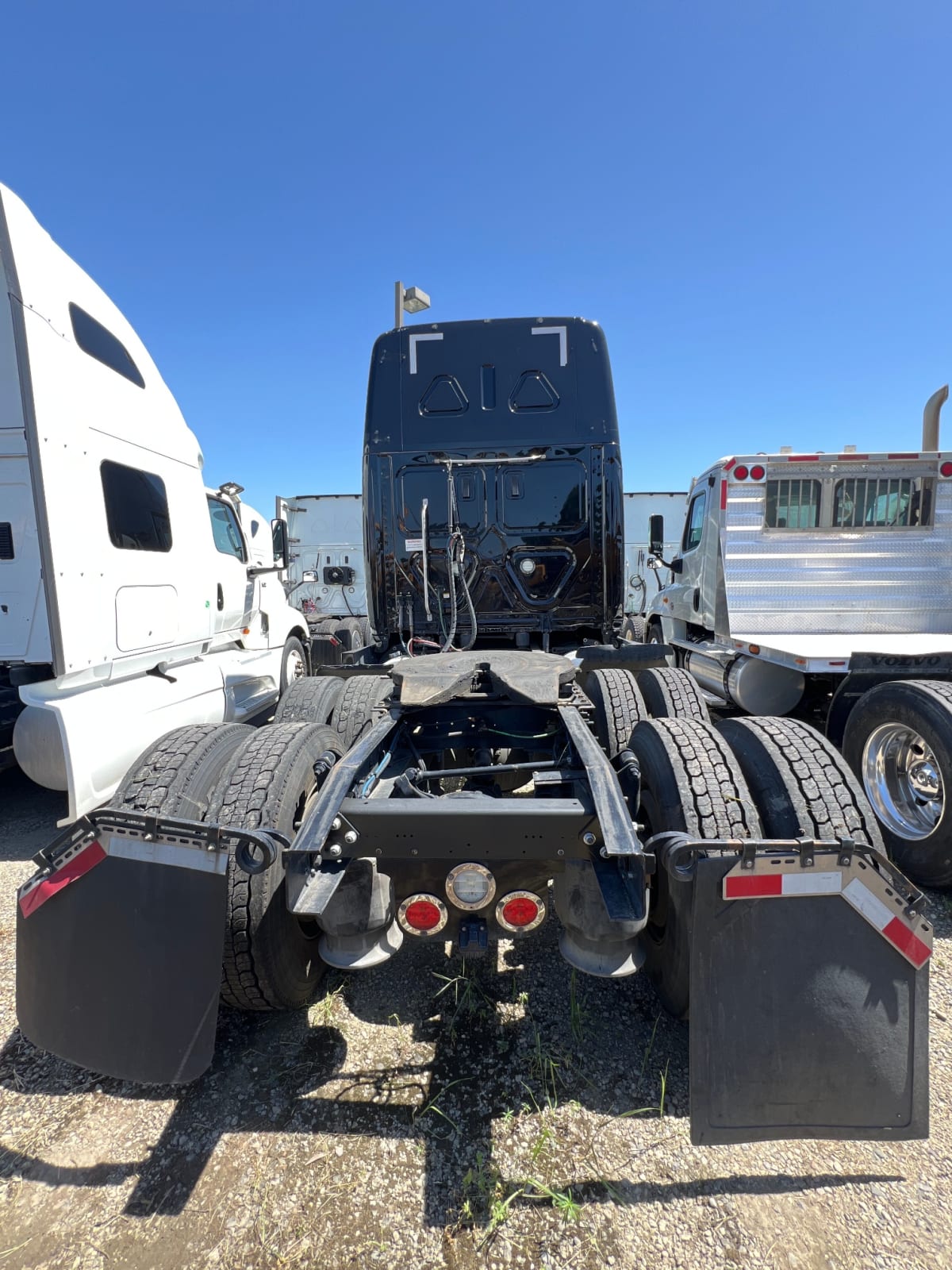 2019 Freightliner/Mercedes CASCADIA 125 826412