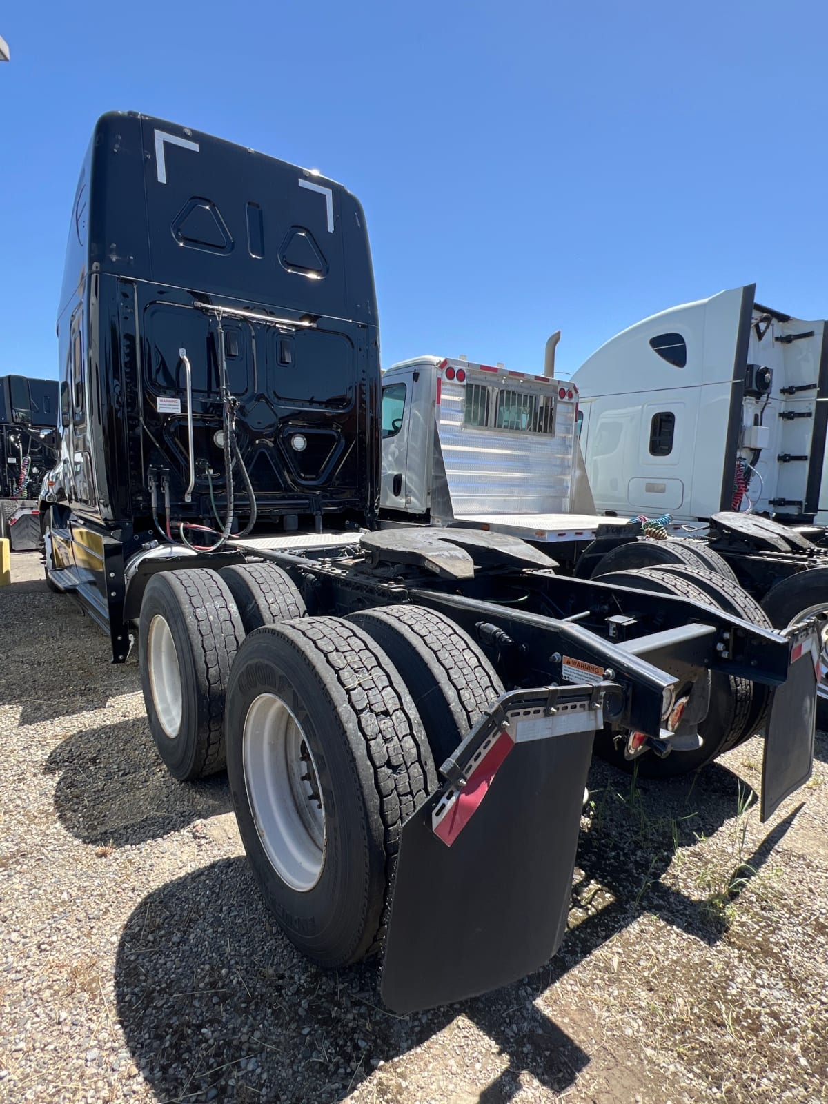 2019 Freightliner/Mercedes CASCADIA 125 826412