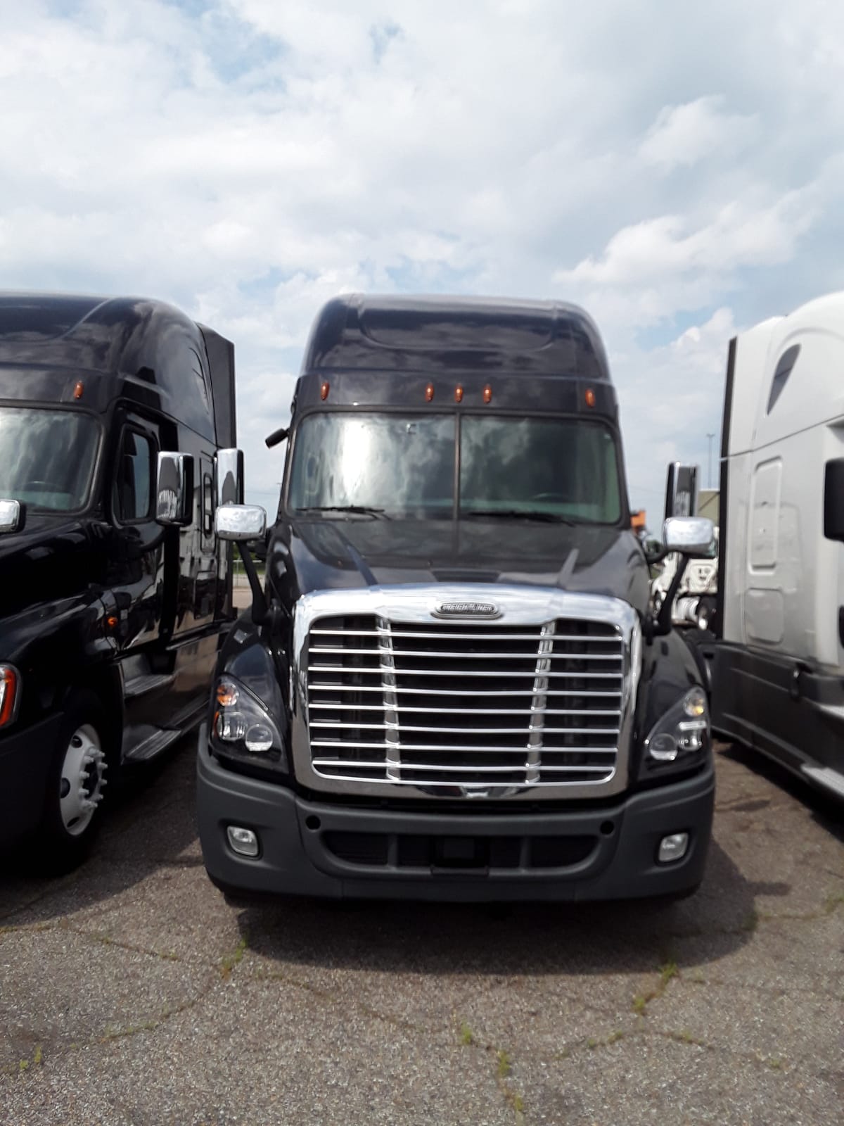 2019 Freightliner/Mercedes CASCADIA 125 826427