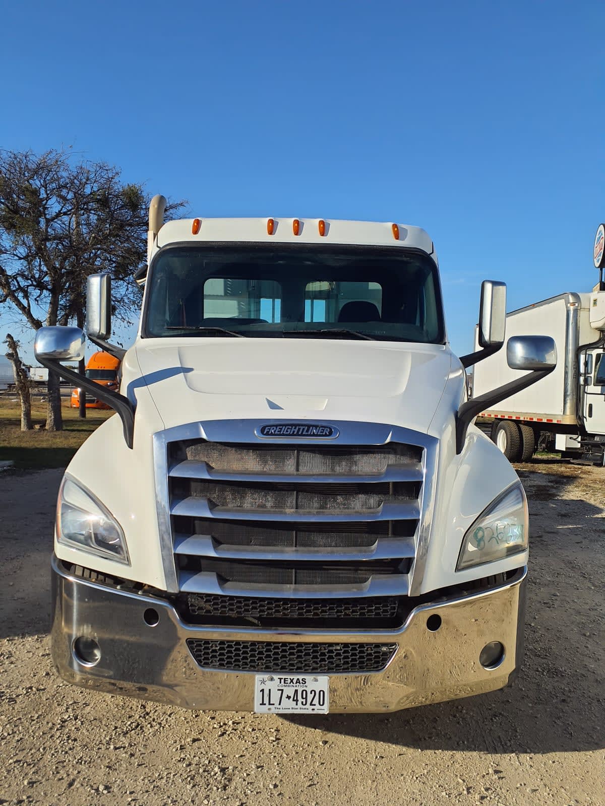 2019 Freightliner - image 2
