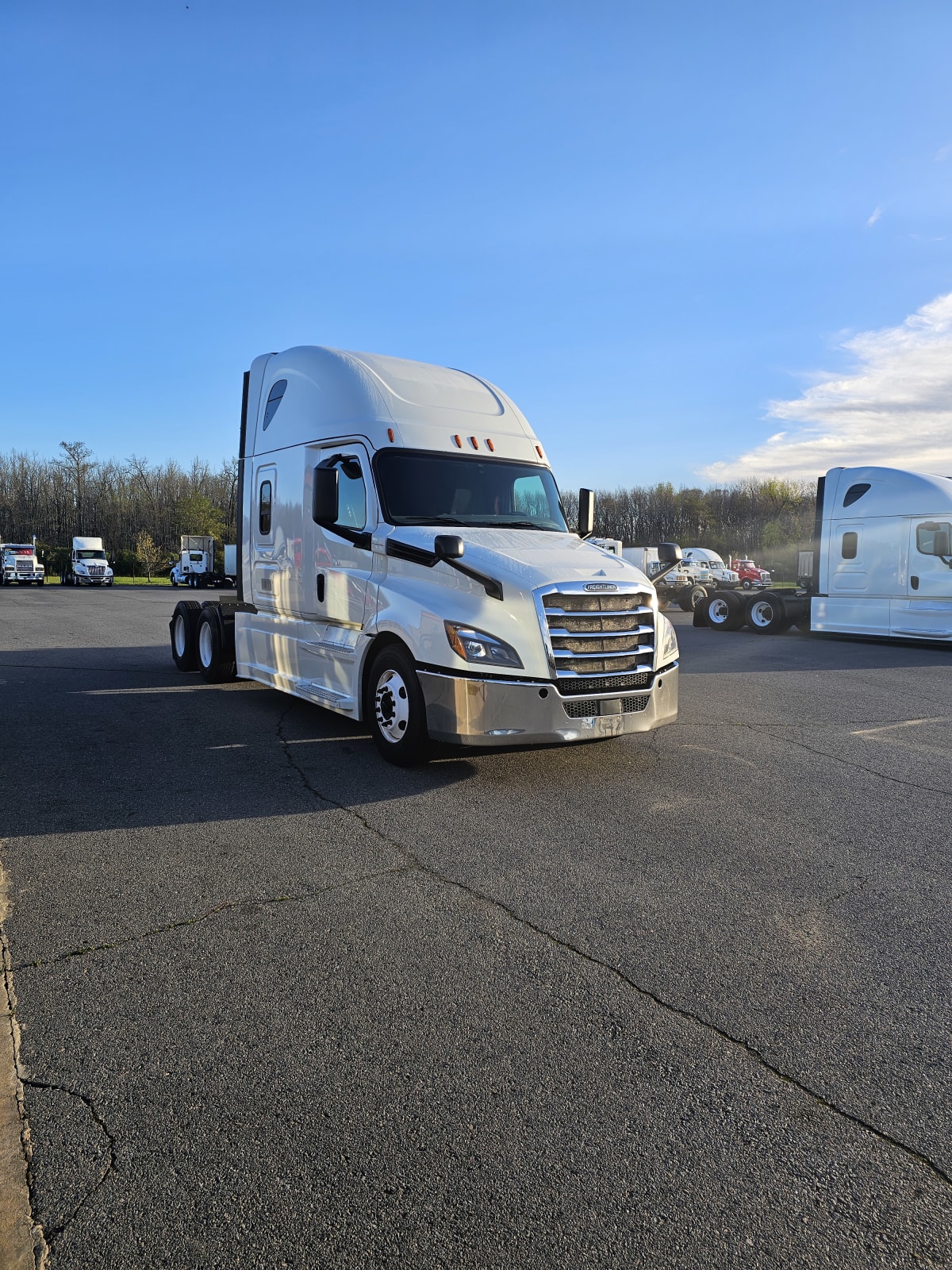2019 Freightliner/Mercedes NEW CASCADIA PX12664 827472