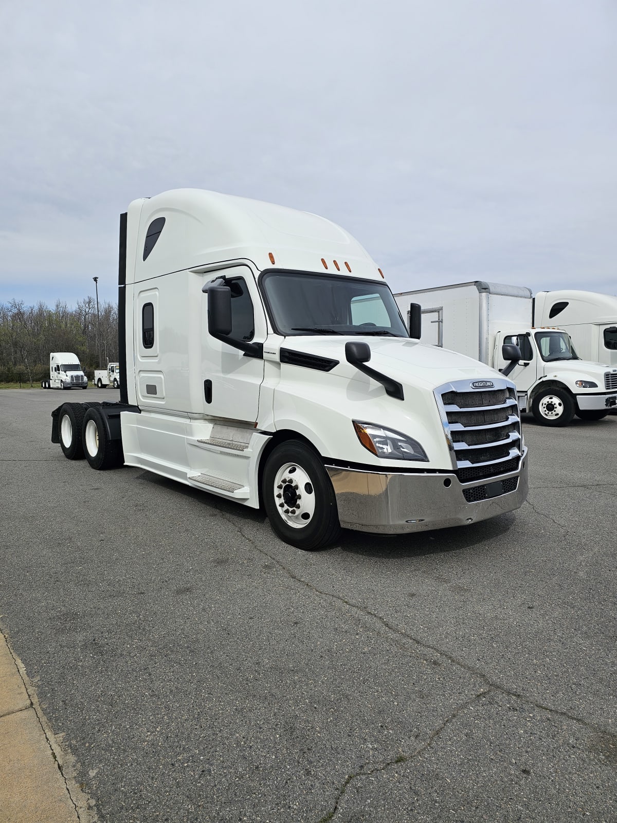 2019 Freightliner/Mercedes NEW CASCADIA PX12664 827474