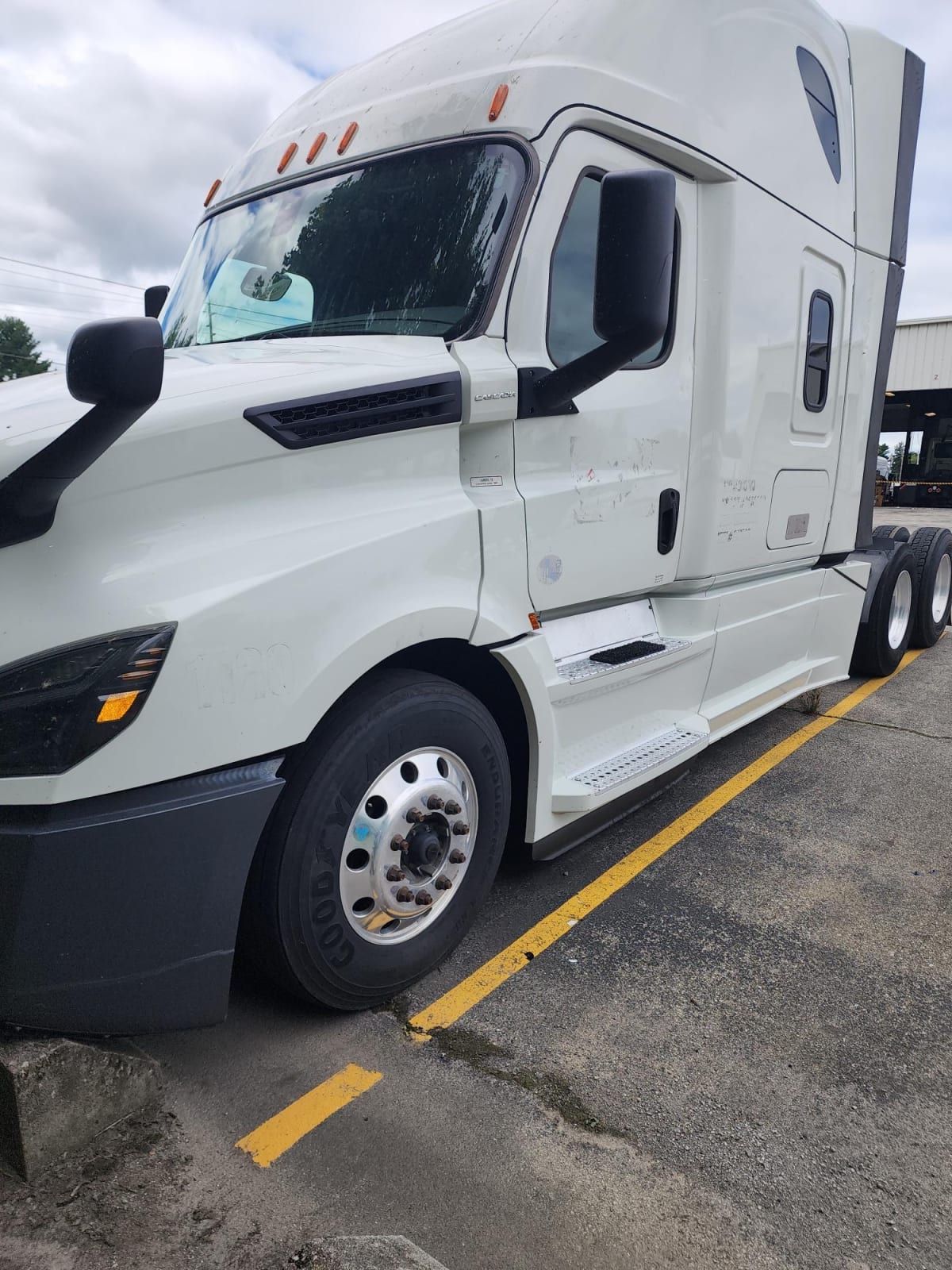 2019 Freightliner/Mercedes NEW CASCADIA PX12664 827790