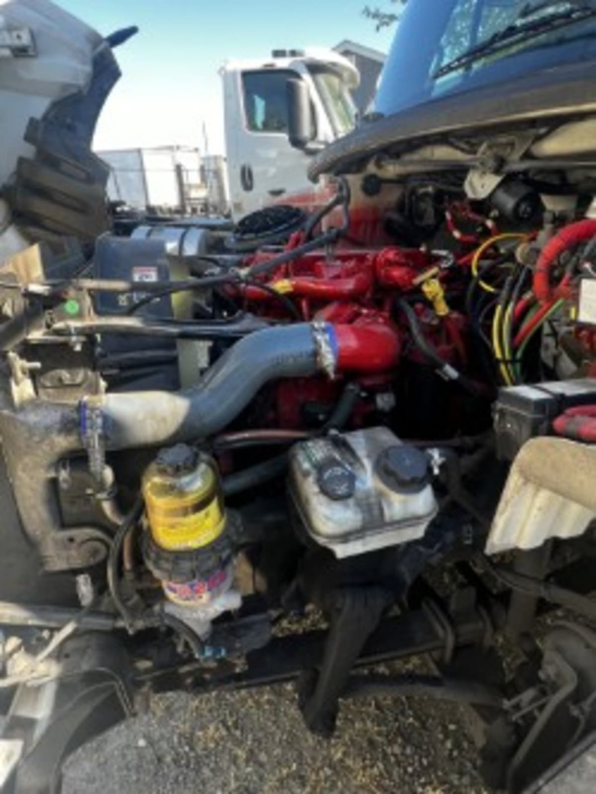 2019 Freightliner/Mercedes M2 106 828014