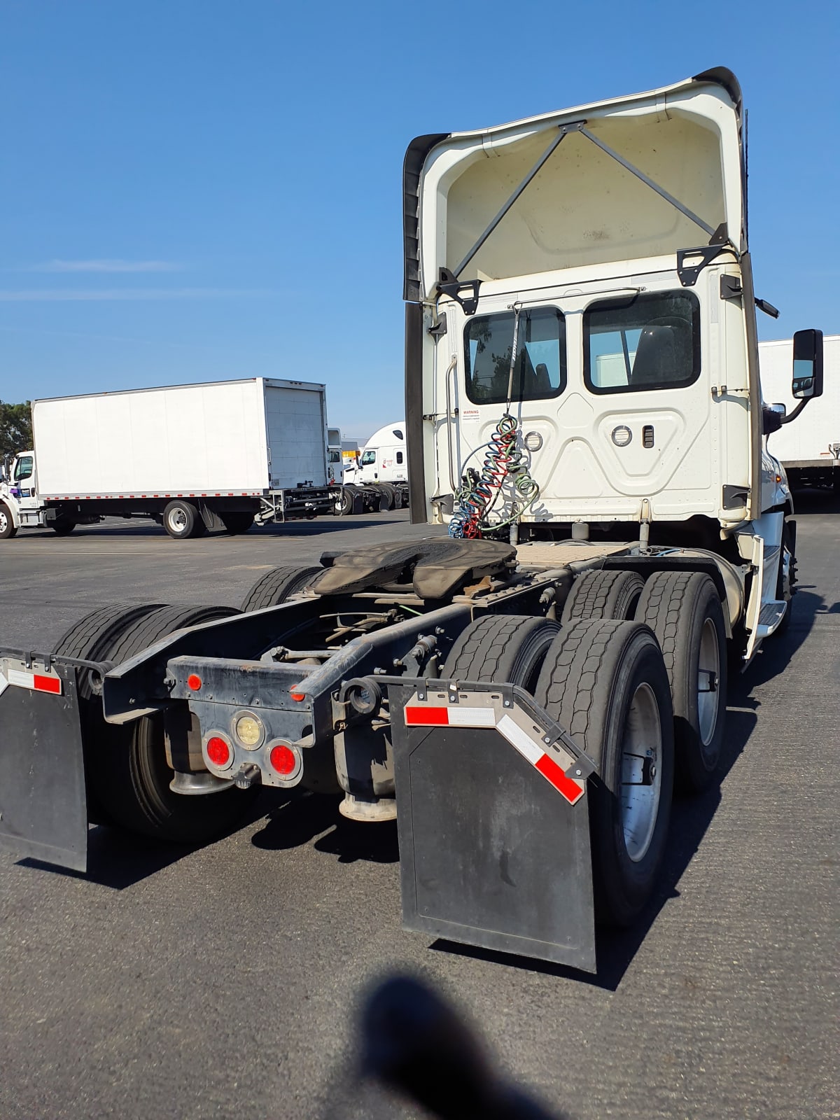 2019 Freightliner/Mercedes CASCADIA 125 829254