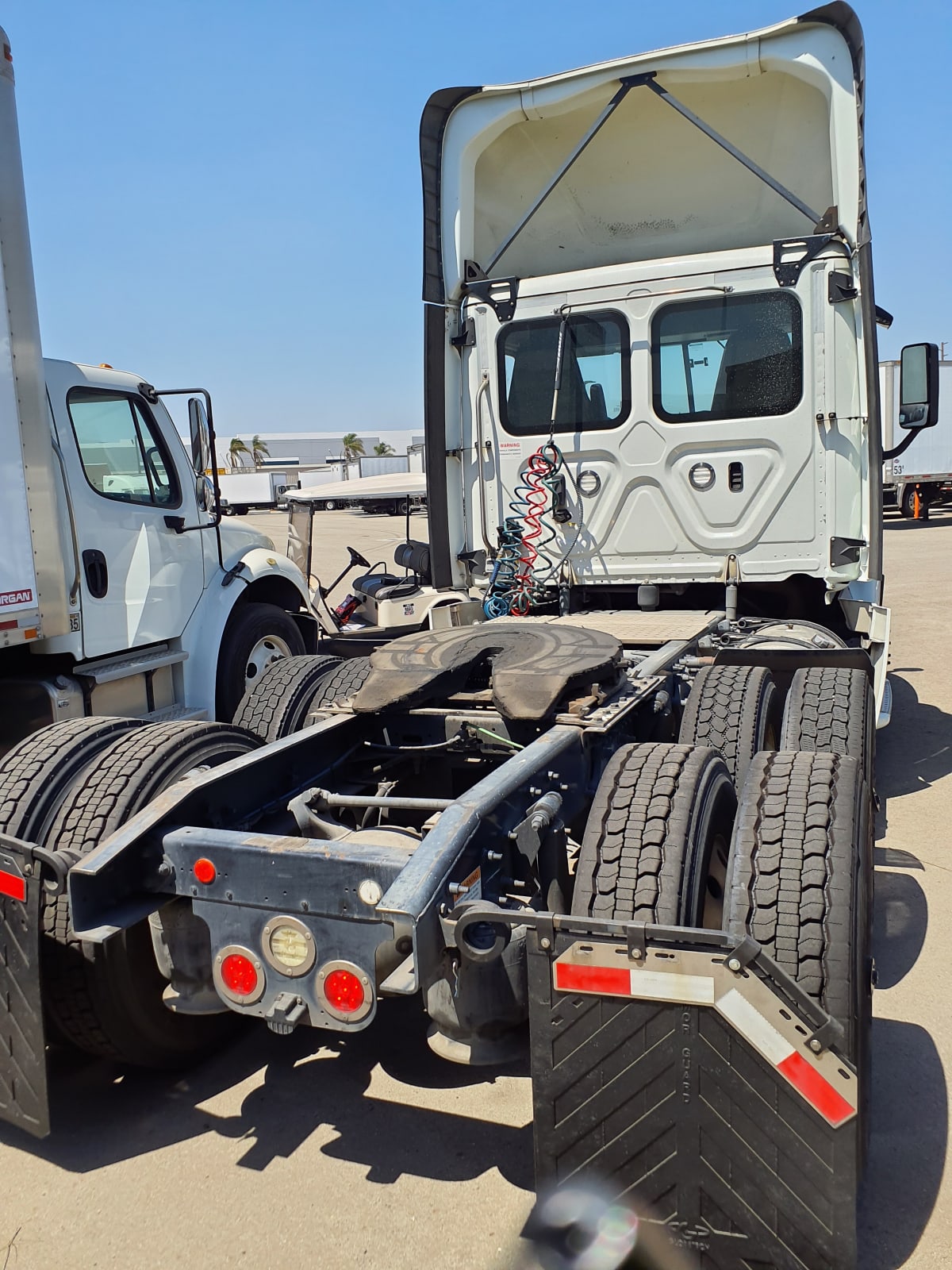 2019 Freightliner/Mercedes CASCADIA 125 829256