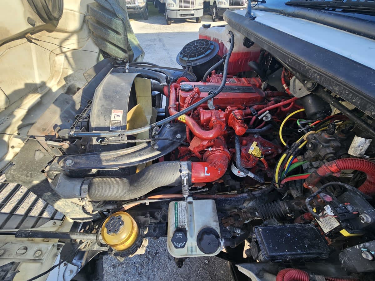 2019 Freightliner/Mercedes M2 106 829825