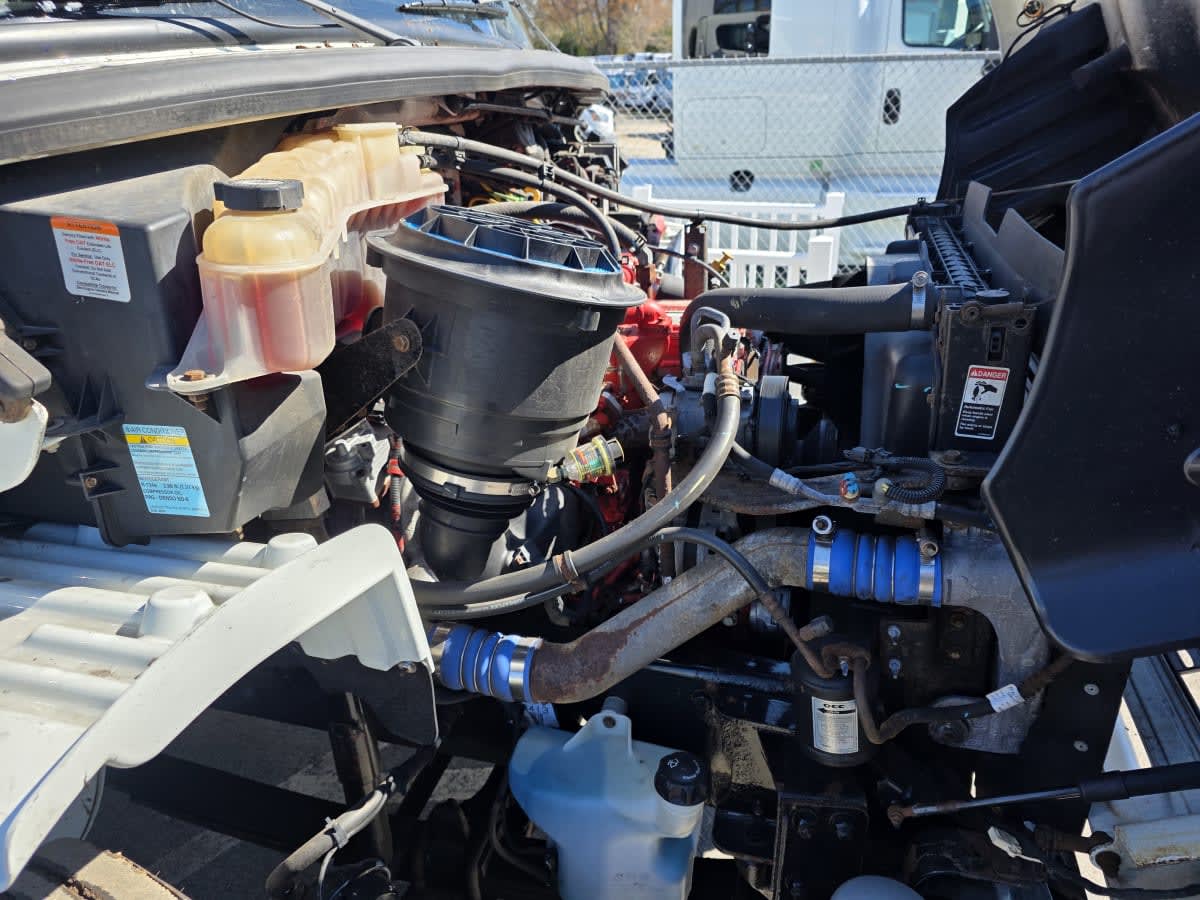 2019 Freightliner/Mercedes M2 106 830077