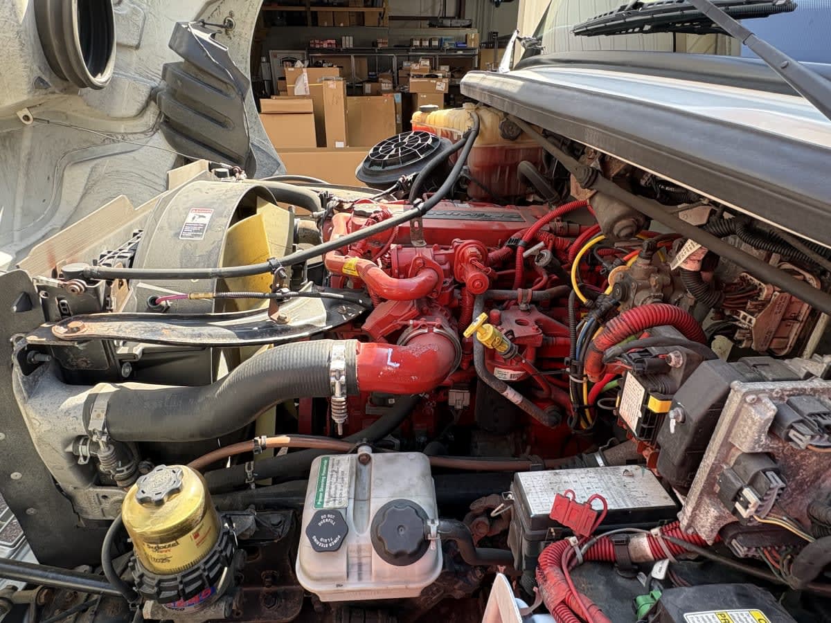 2019 Freightliner/Mercedes M2 106 830320