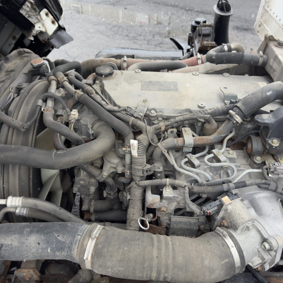 2019 Isuzu NPR HD 830629